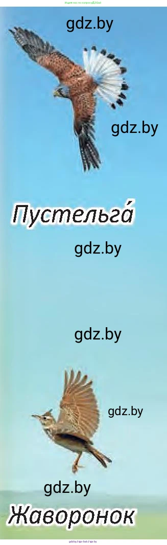 Человек и мир, 3 класс Учебник, авторы: Трафимова Галина Владимировна, Трафимов Сергей Анатольевич, издательство Академия образования, Минск, 2025, голубого цвета, страница 65, Условие (продолжение 2)