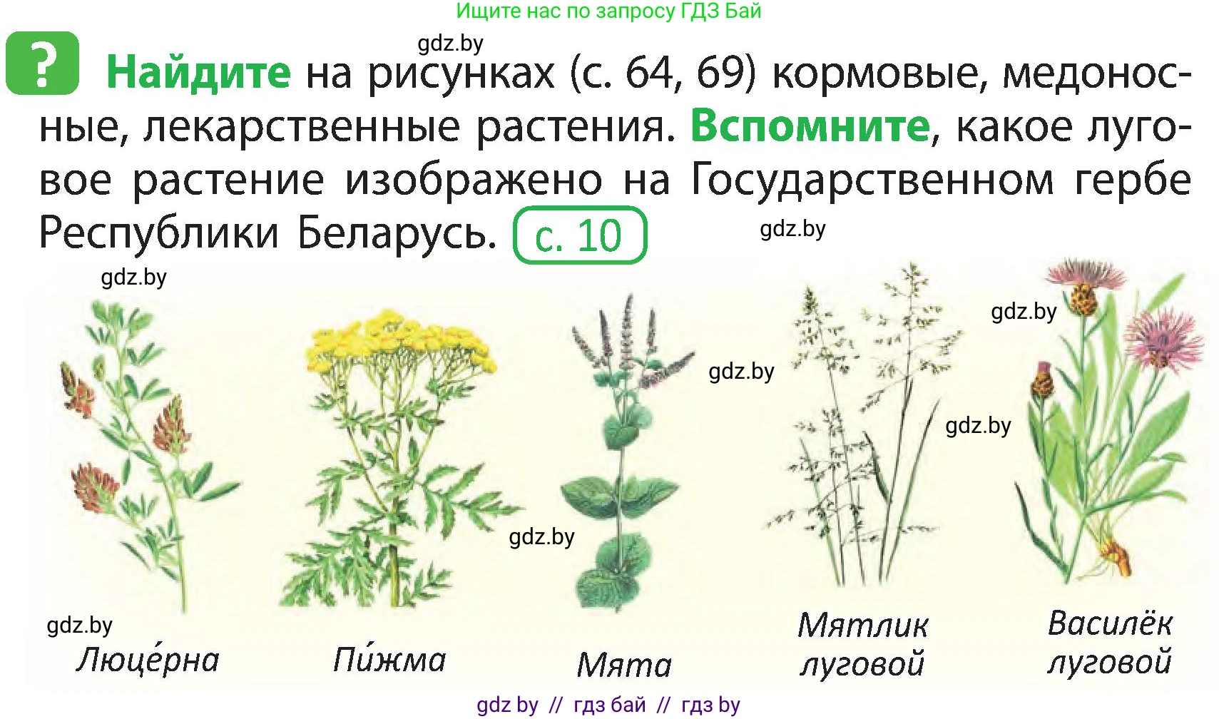 Человек и мир, 3 класс Учебник, авторы: Трафимова Галина Владимировна, Трафимов Сергей Анатольевич, издательство Академия образования, Минск, 2025, голубого цвета, страница 69, Условие