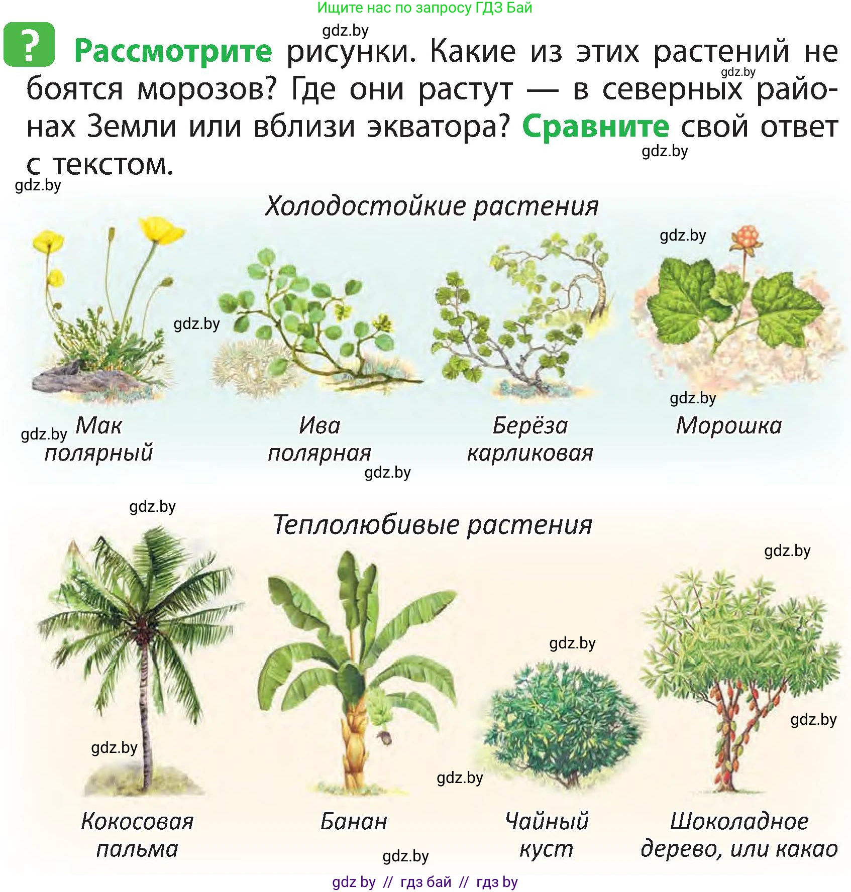 Человек и мир, 3 класс Учебник, авторы: Трафимова Галина Владимировна, Трафимов Сергей Анатольевич, издательство Академия образования, Минск, 2025, голубого цвета, страница 82, Условие