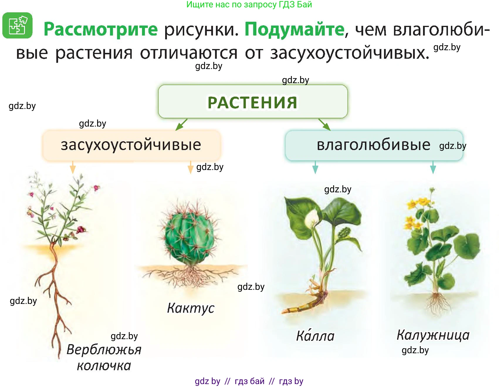 Человек и мир, 3 класс Учебник, авторы: Трафимова Галина Владимировна, Трафимов Сергей Анатольевич, издательство Академия образования, Минск, 2025, голубого цвета, страница 83, Условие