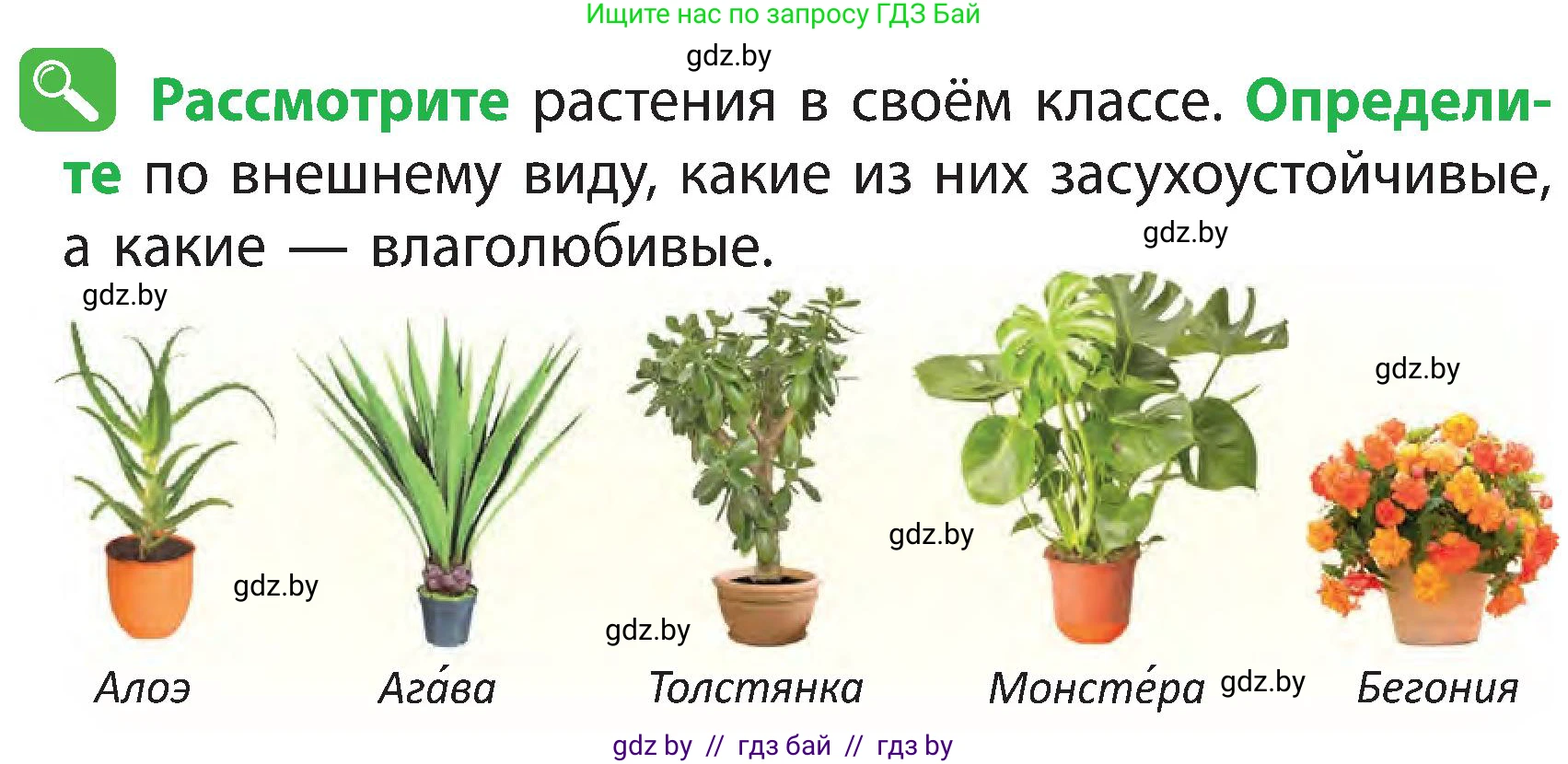 Человек и мир, 3 класс Учебник, авторы: Трафимова Галина Владимировна, Трафимов Сергей Анатольевич, издательство Академия образования, Минск, 2025, голубого цвета, страница 84, Условие