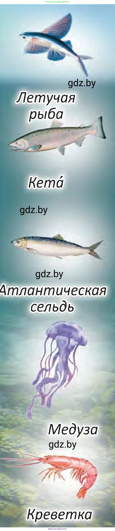 Человек и мир, 3 класс Учебник, авторы: Трафимова Галина Владимировна, Трафимов Сергей Анатольевич, издательство Академия образования, Минск, 2025, голубого цвета, страница 95, Условие (продолжение 2)
