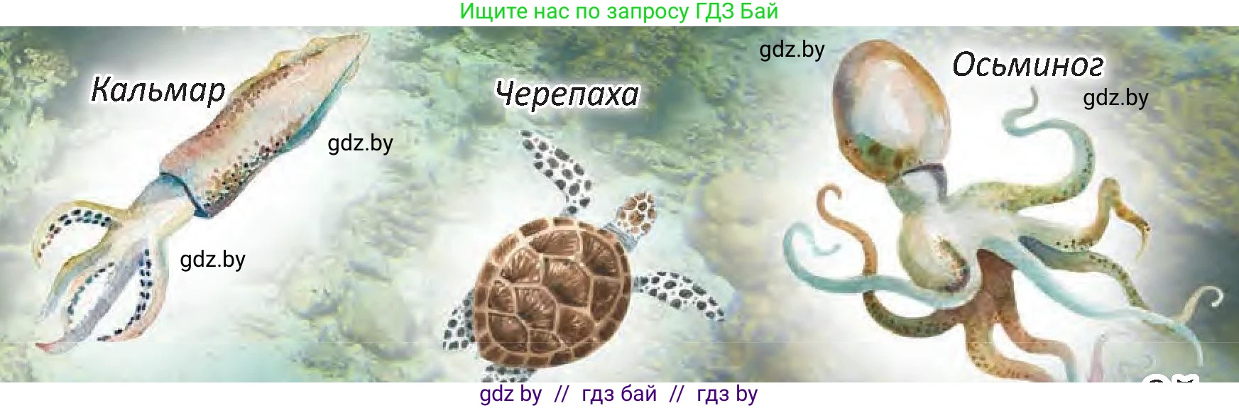 Человек и мир, 3 класс Учебник, авторы: Трафимова Галина Владимировна, Трафимов Сергей Анатольевич, издательство Академия образования, Минск, 2025, голубого цвета, страница 95, Условие (продолжение 3)