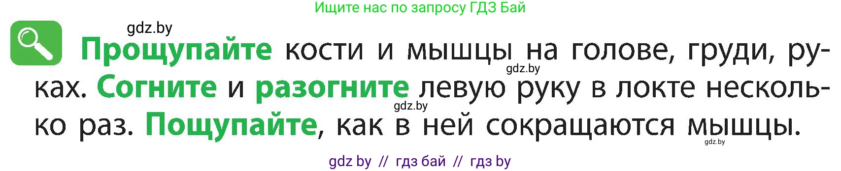 Человек и мир, 3 класс Учебник, авторы: Трафимова Галина Владимировна, Трафимов Сергей Анатольевич, издательство Академия образования, Минск, 2025, голубого цвета, страница 108, Условие