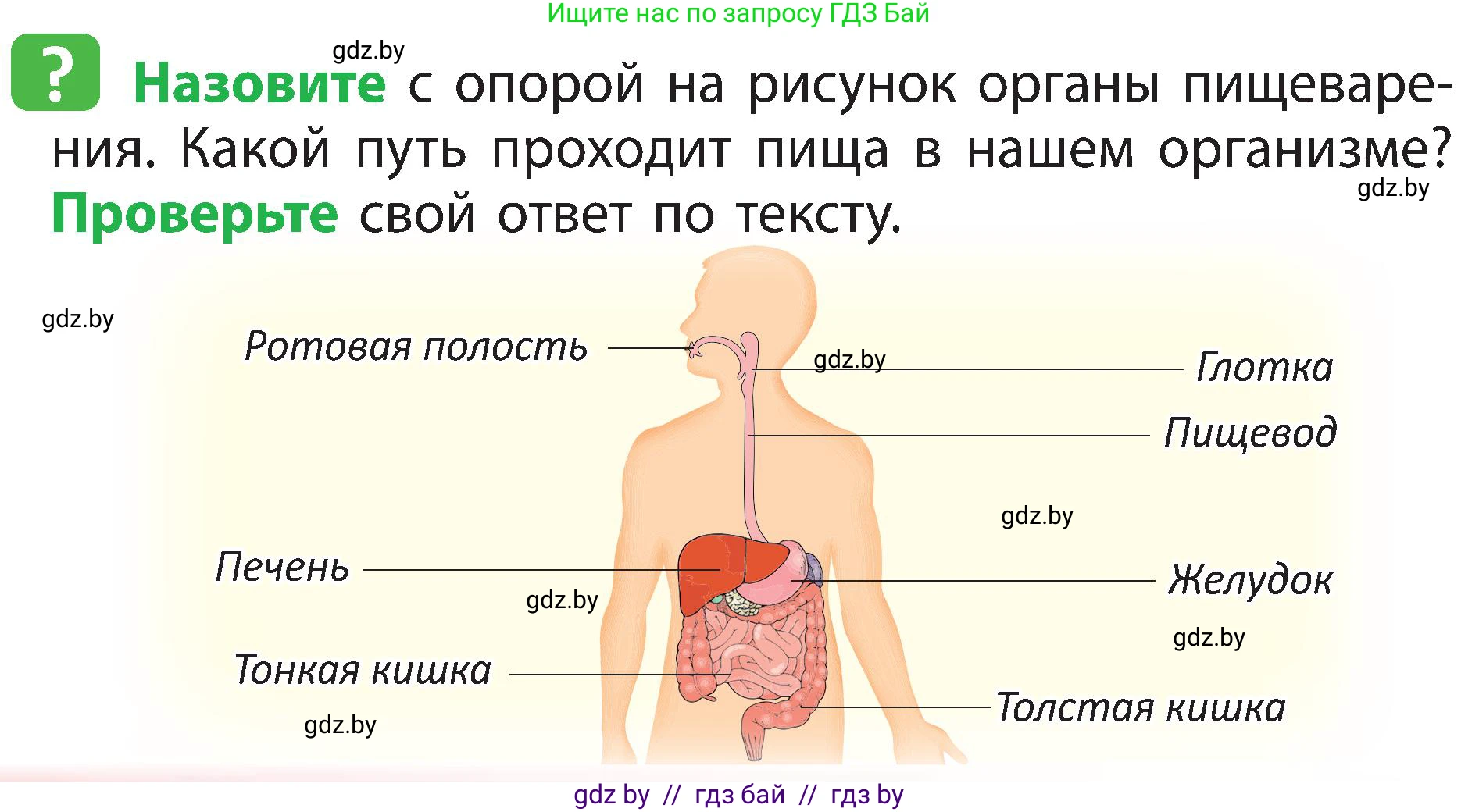 Человек и мир, 3 класс Учебник, авторы: Трафимова Галина Владимировна, Трафимов Сергей Анатольевич, издательство Академия образования, Минск, 2025, голубого цвета, страница 118, Условие