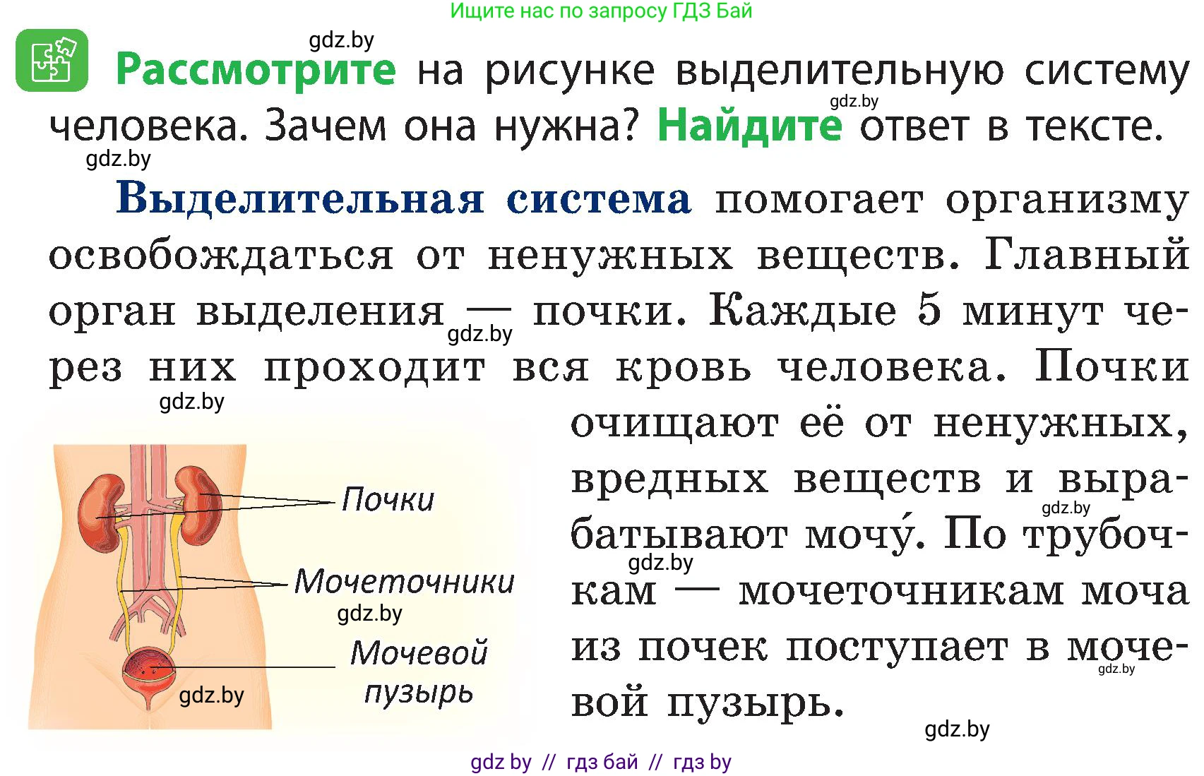 Человек и мир, 3 класс Учебник, авторы: Трафимова Галина Владимировна, Трафимов Сергей Анатольевич, издательство Академия образования, Минск, 2025, голубого цвета, страница 120, Условие