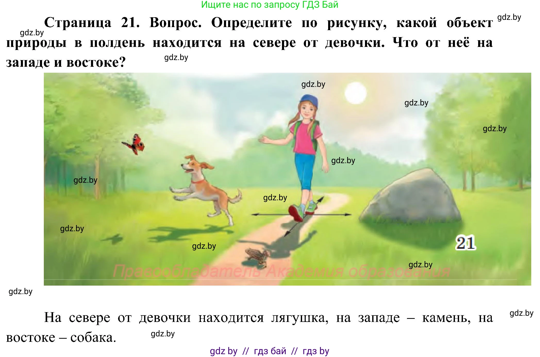 Человек и мир, 3 класс Учебник, авторы: Трафимова Галина Владимировна, Трафимов Сергей Анатольевич, издательство Академия образования, Минск, 2025, голубого цвета, страница 21, Решение
