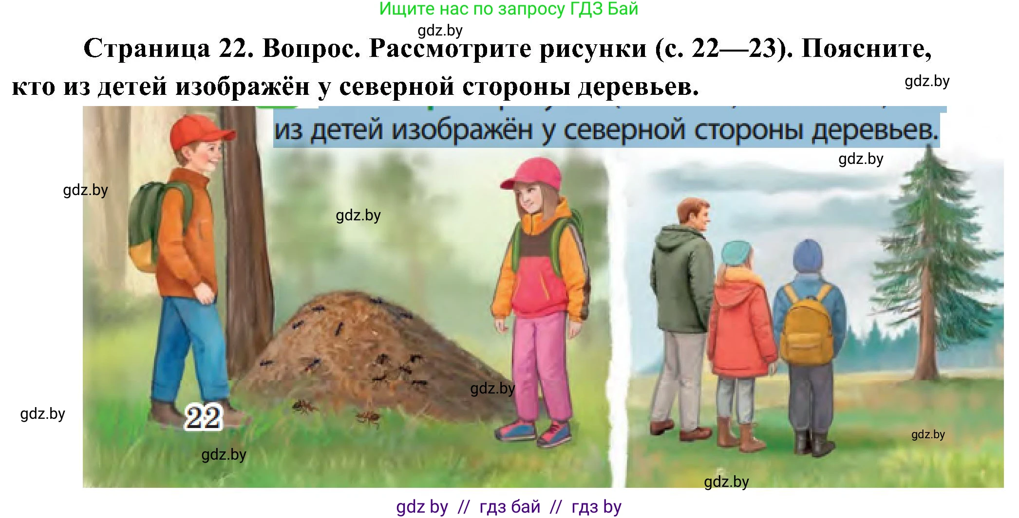 Человек и мир, 3 класс Учебник, авторы: Трафимова Галина Владимировна, Трафимов Сергей Анатольевич, издательство Академия образования, Минск, 2025, голубого цвета, страница 22, Решение