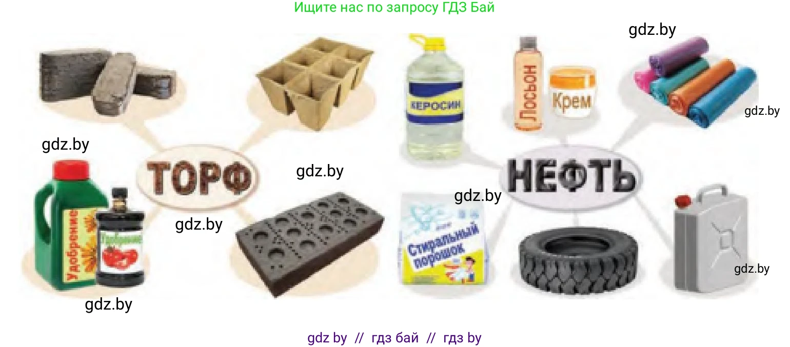 Человек и мир, 3 класс Учебник, авторы: Трафимова Галина Владимировна, Трафимов Сергей Анатольевич, издательство Академия образования, Минск, 2025, голубого цвета, страница 37, Решение (продолжение 2)
