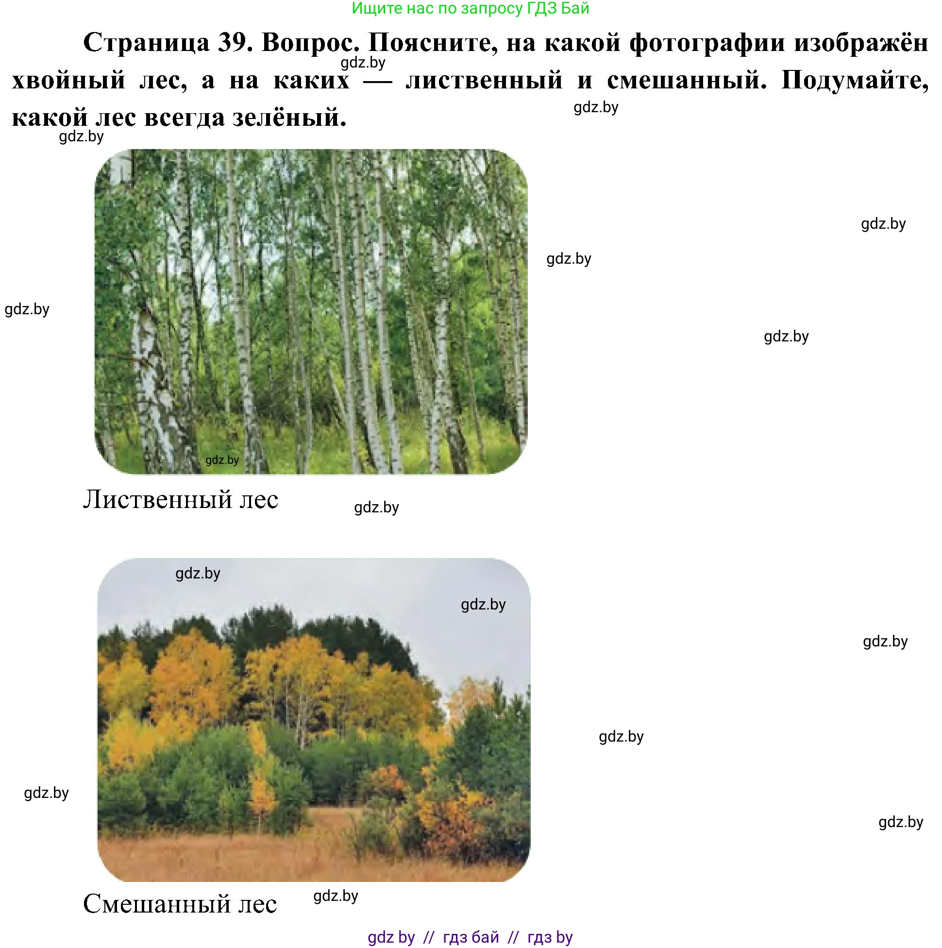 Человек и мир, 3 класс Учебник, авторы: Трафимова Галина Владимировна, Трафимов Сергей Анатольевич, издательство Академия образования, Минск, 2025, голубого цвета, страница 39, Решение