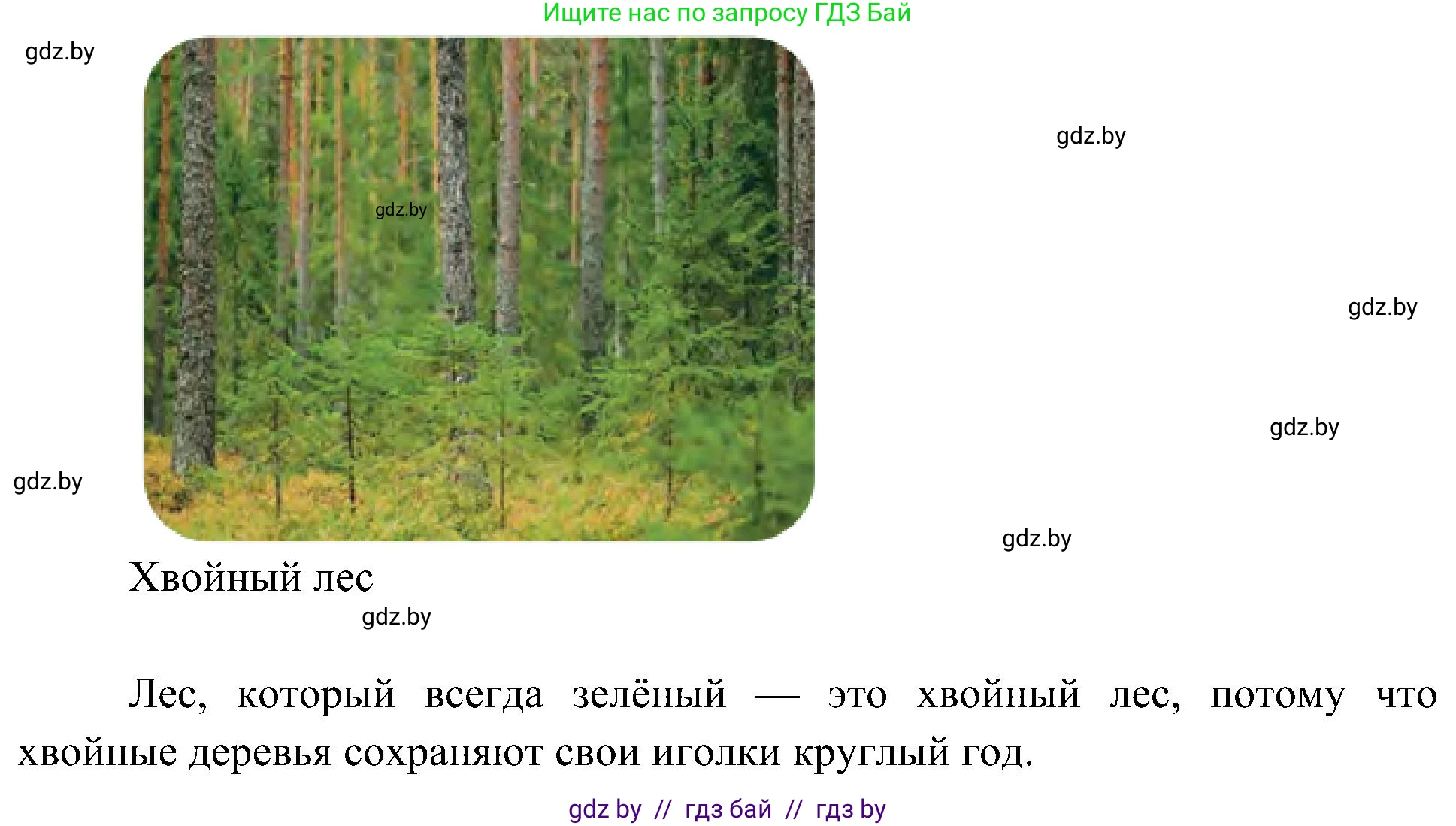 Человек и мир, 3 класс Учебник, авторы: Трафимова Галина Владимировна, Трафимов Сергей Анатольевич, издательство Академия образования, Минск, 2025, голубого цвета, страница 39, Решение (продолжение 2)