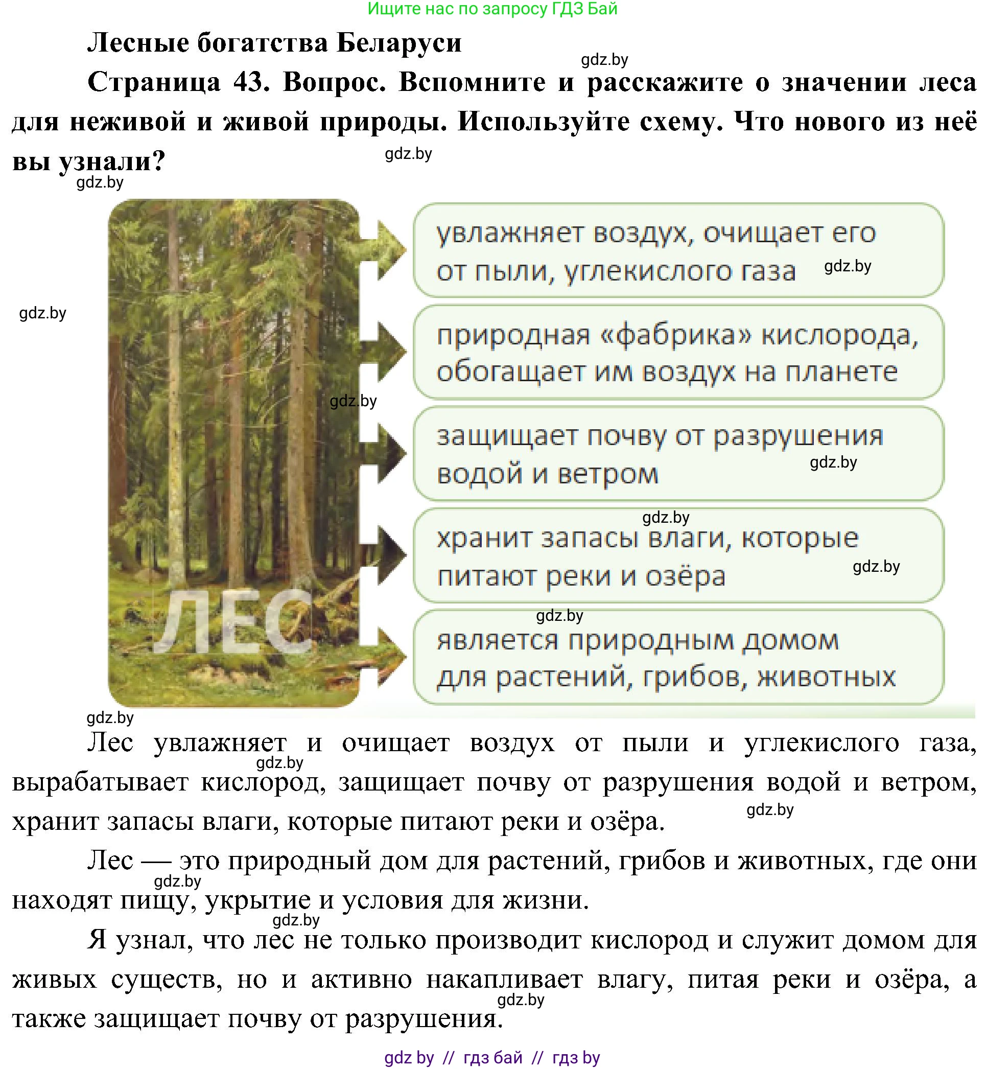 Человек и мир, 3 класс Учебник, авторы: Трафимова Галина Владимировна, Трафимов Сергей Анатольевич, издательство Академия образования, Минск, 2025, голубого цвета, страница 43, Решение