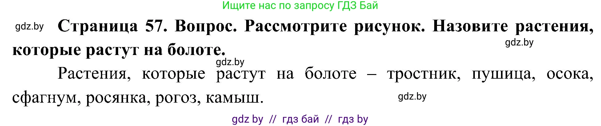 Человек и мир, 3 класс Учебник, авторы: Трафимова Галина Владимировна, Трафимов Сергей Анатольевич, издательство Академия образования, Минск, 2025, голубого цвета, страница 57, Решение