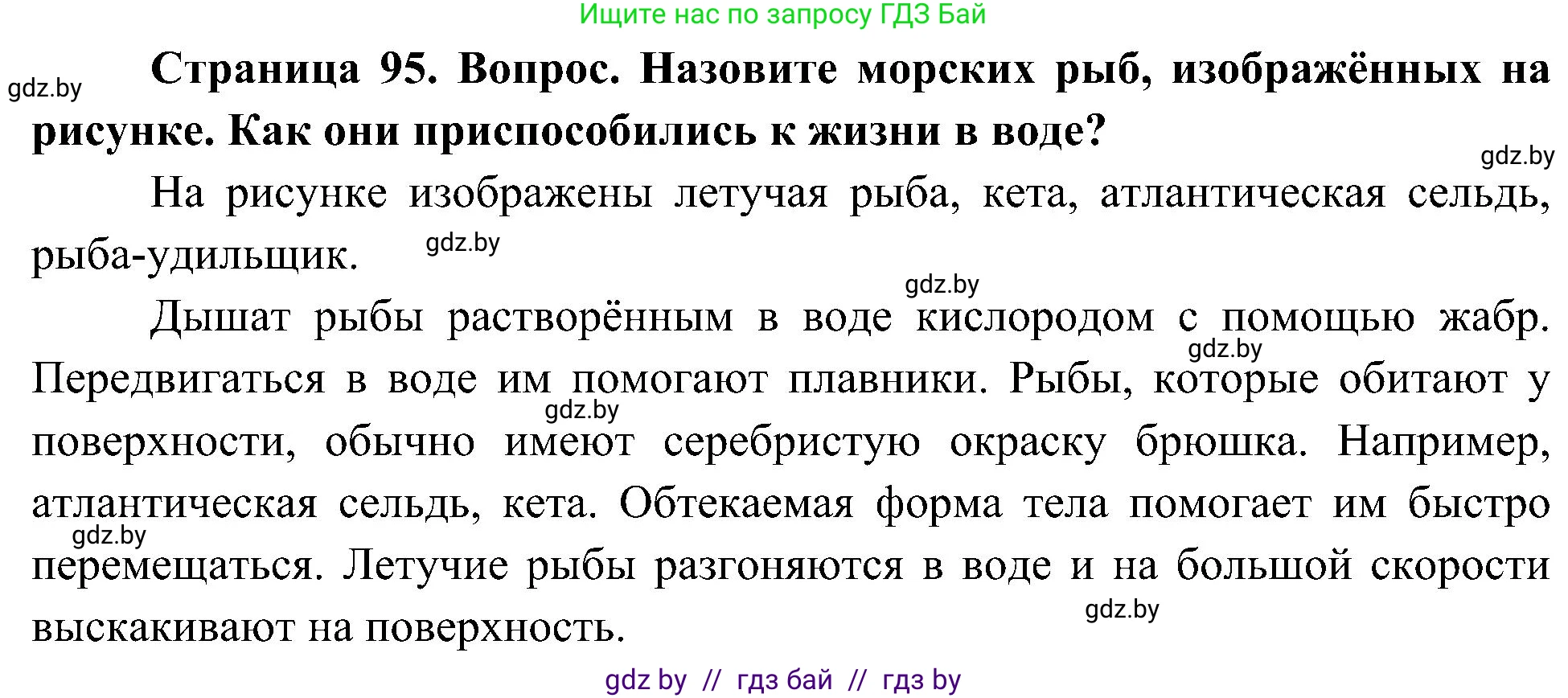 Человек и мир, 3 класс Учебник, авторы: Трафимова Галина Владимировна, Трафимов Сергей Анатольевич, издательство Академия образования, Минск, 2025, голубого цвета, страница 95, Решение