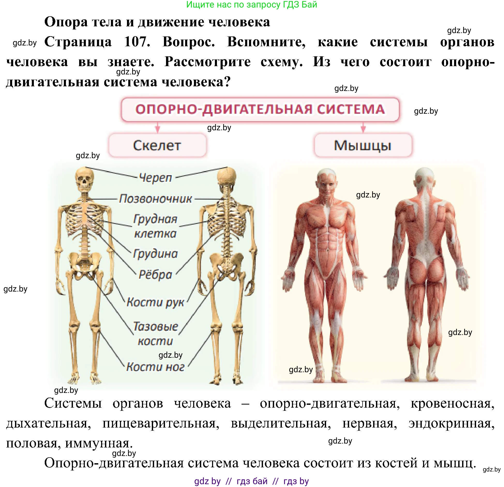 Человек и мир, 3 класс Учебник, авторы: Трафимова Галина Владимировна, Трафимов Сергей Анатольевич, издательство Академия образования, Минск, 2025, голубого цвета, страница 107, Решение