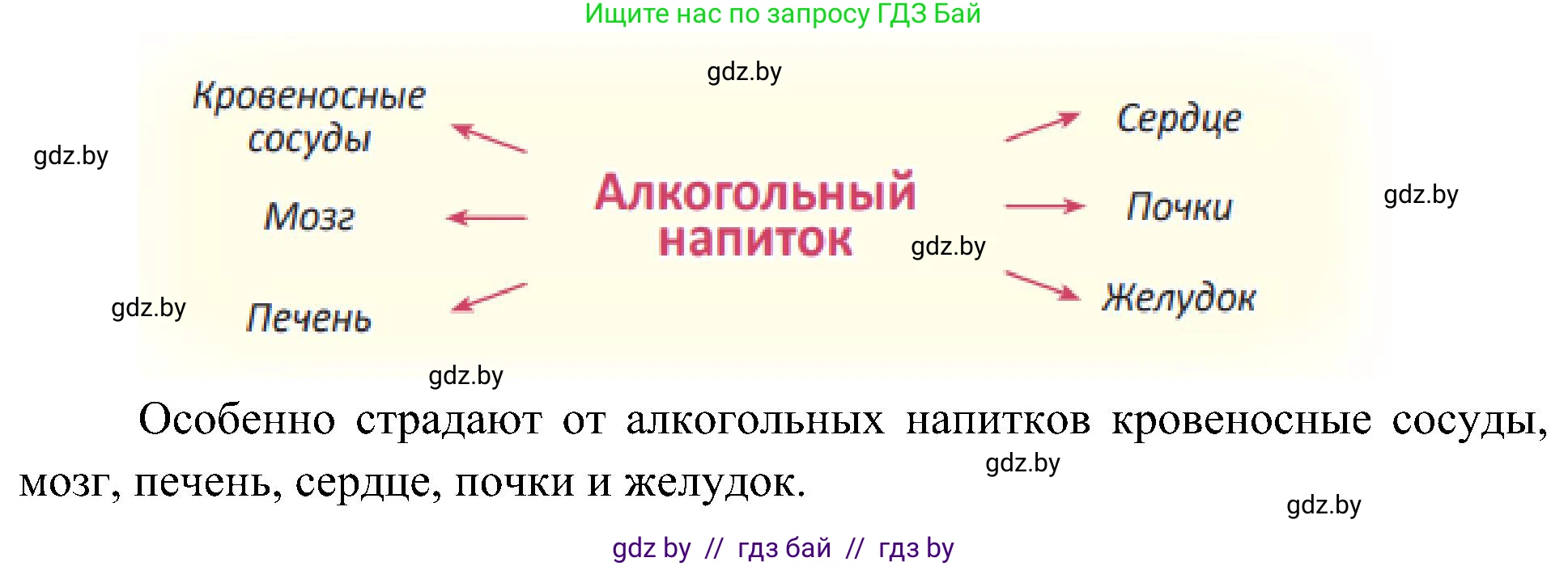 Человек и мир, 3 класс Учебник, авторы: Трафимова Галина Владимировна, Трафимов Сергей Анатольевич, издательство Академия образования, Минск, 2025, голубого цвета, страница 120, Решение (продолжение 2)