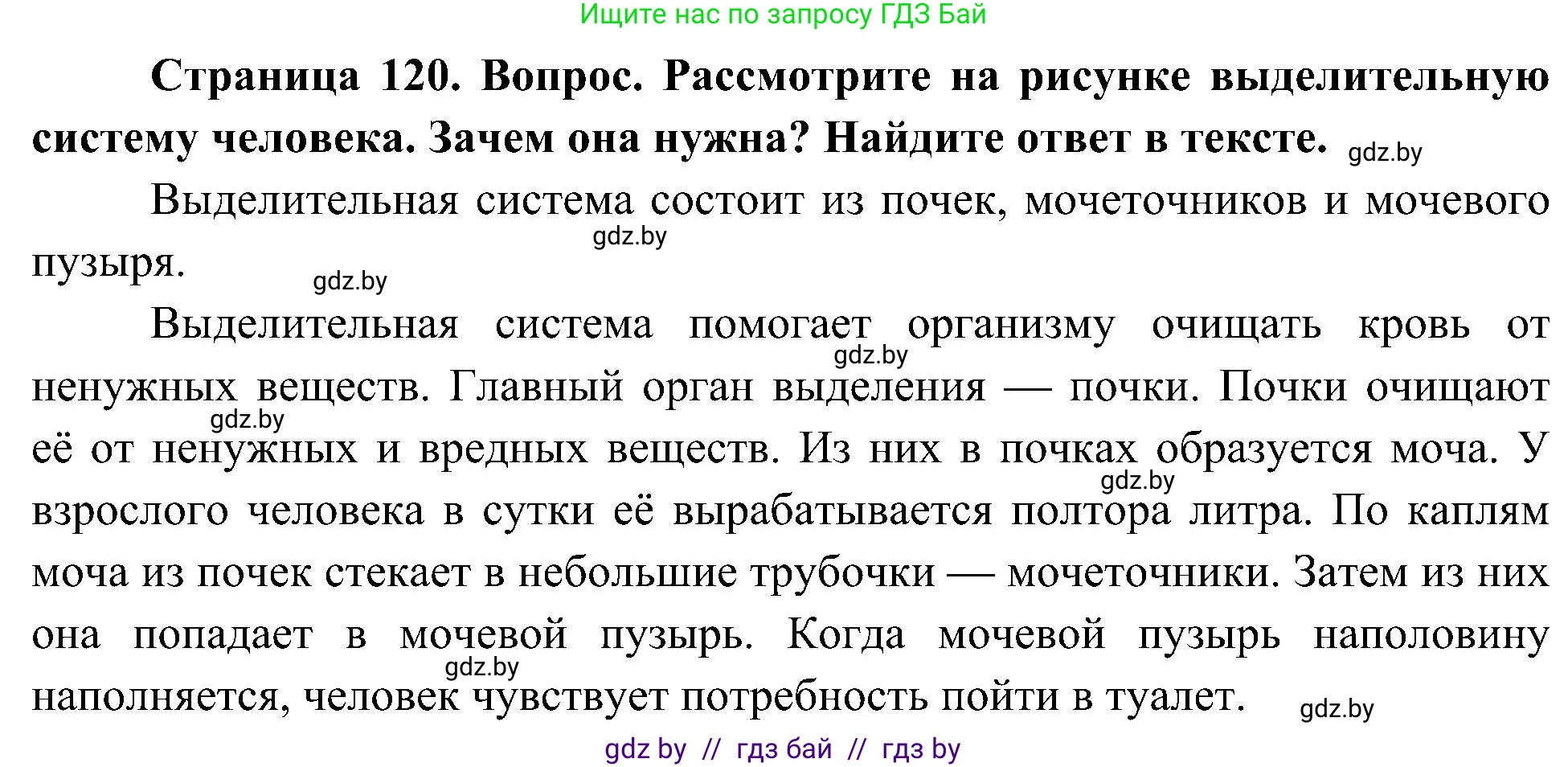 Человек и мир, 3 класс Учебник, авторы: Трафимова Галина Владимировна, Трафимов Сергей Анатольевич, издательство Академия образования, Минск, 2025, голубого цвета, страница 120, Решение