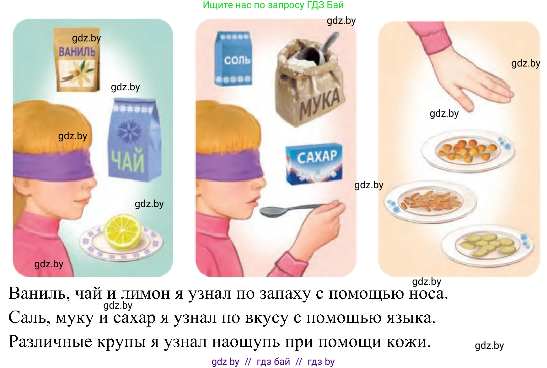 Человек и мир, 3 класс Учебник, авторы: Трафимова Галина Владимировна, Трафимов Сергей Анатольевич, издательство Академия образования, Минск, 2025, голубого цвета, страница 131, Решение (продолжение 2)