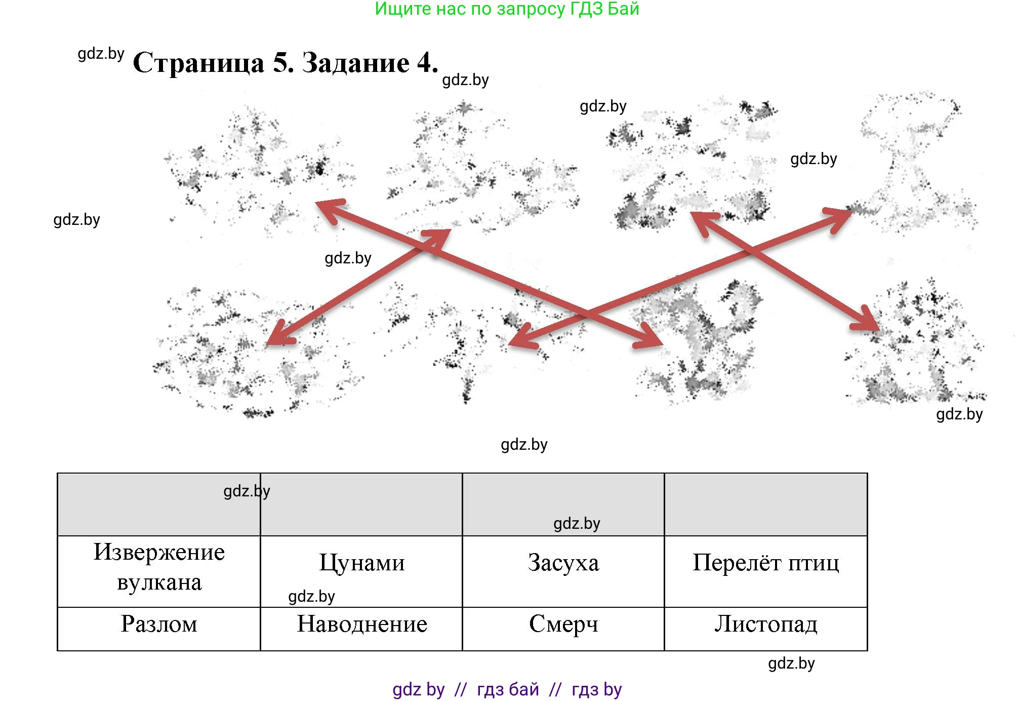 Человек и мир, 5 класс Практикум, авторы: Кольмакова Елена Генадьевна, Сарычева Ольга Владимировна, издательство Аверсэв, Минск, 2022, голубого цвета, страница 5, номер 4, Решение