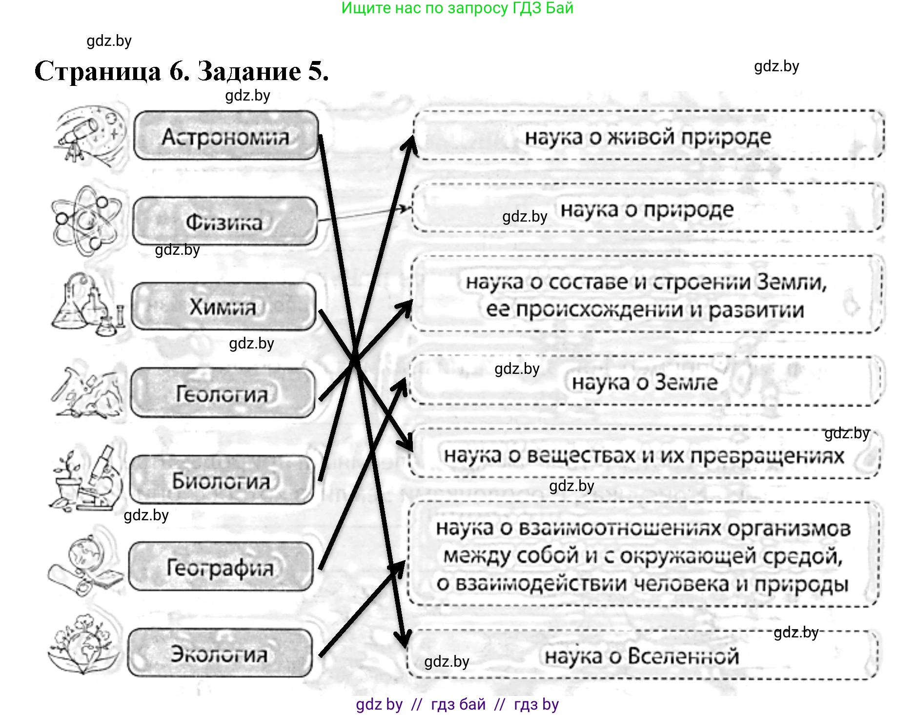 Человек и мир, 5 класс Практикум, авторы: Кольмакова Елена Генадьевна, Сарычева Ольга Владимировна, издательство Аверсэв, Минск, 2022, голубого цвета, страница 6, номер 5, Решение