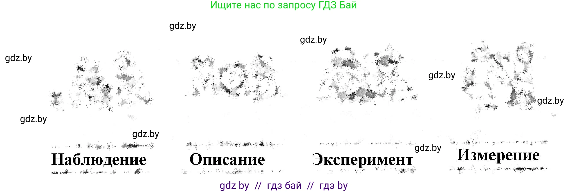 Человек и мир, 5 класс Практикум, авторы: Кольмакова Елена Генадьевна, Сарычева Ольга Владимировна, издательство Аверсэв, Минск, 2022, голубого цвета, страница 7, номер 8, Решение