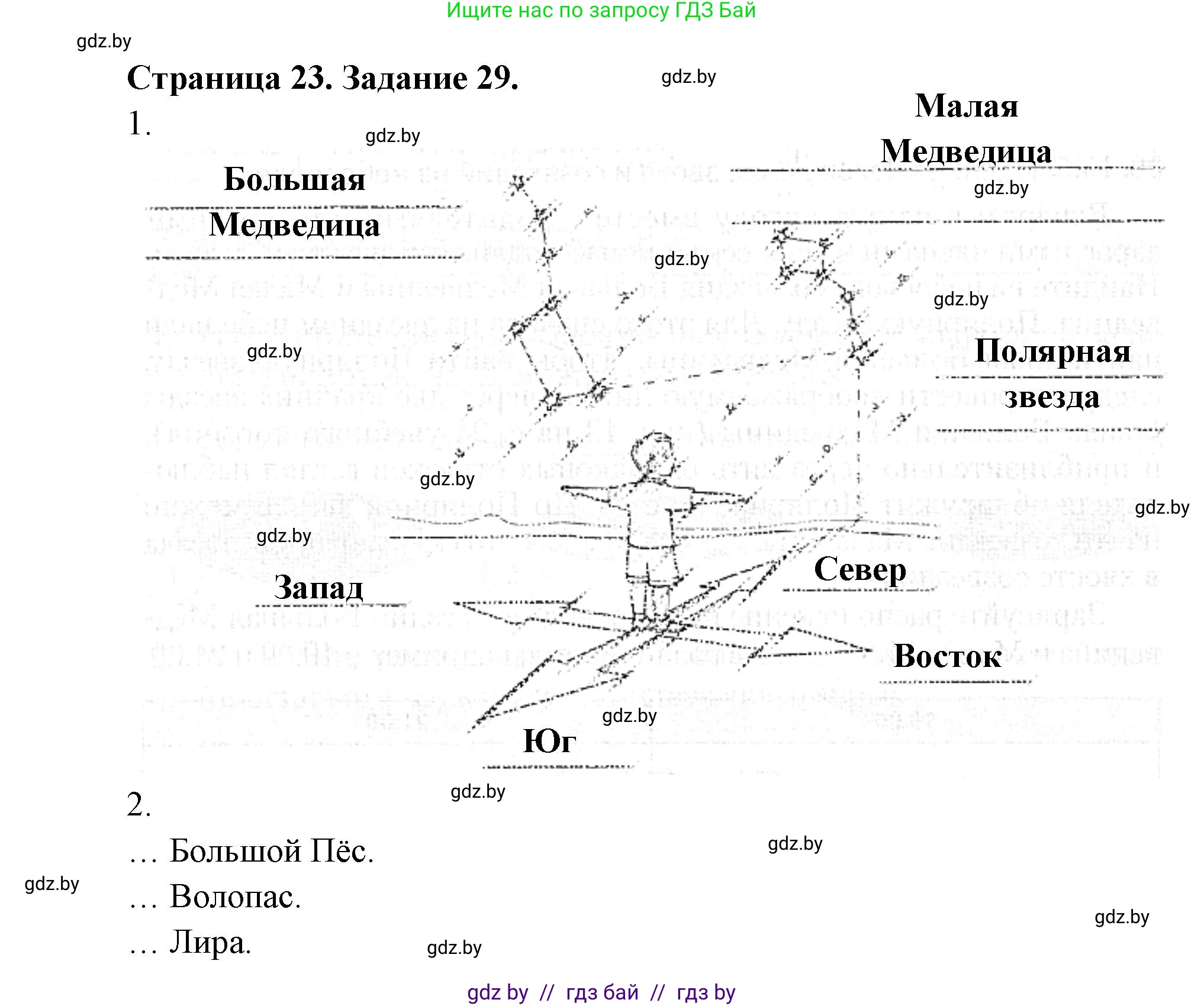 Человек и мир, 5 класс Практикум, авторы: Кольмакова Елена Генадьевна, Сарычева Ольга Владимировна, издательство Аверсэв, Минск, 2022, голубого цвета, страница 23, номер 29, Решение