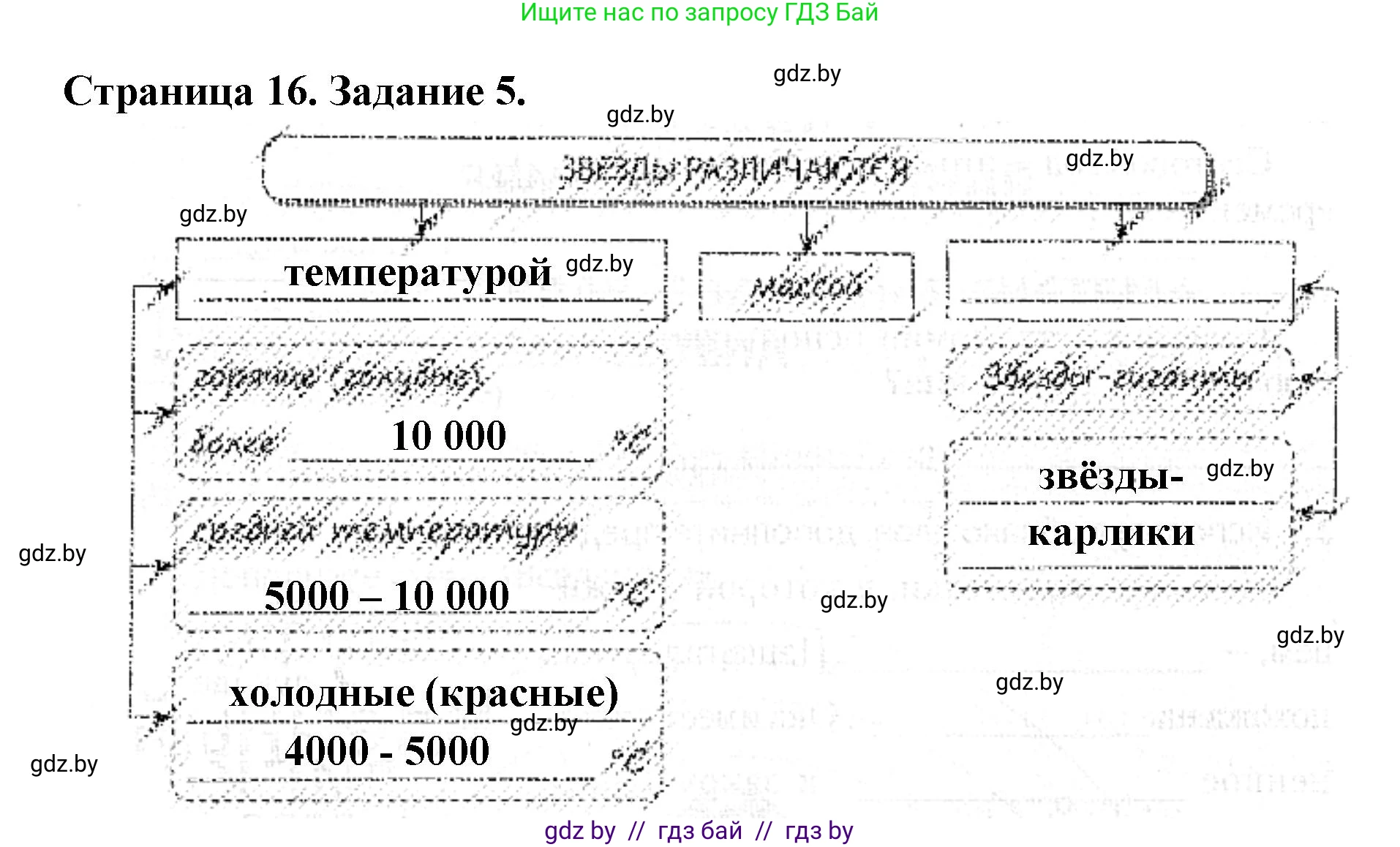 Человек и мир, 5 класс Практикум, авторы: Кольмакова Елена Генадьевна, Сарычева Ольга Владимировна, издательство Аверсэв, Минск, 2022, голубого цвета, страница 16, номер 5, Решение