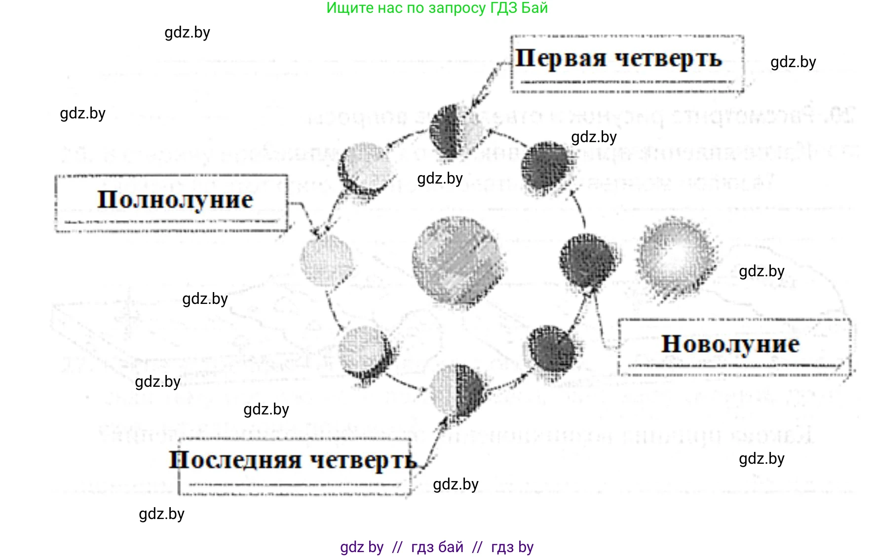 Человек и мир, 5 класс Практикум, авторы: Кольмакова Елена Генадьевна, Сарычева Ольга Владимировна, издательство Аверсэв, Минск, 2022, голубого цвета, страница 31, номер 18, Решение