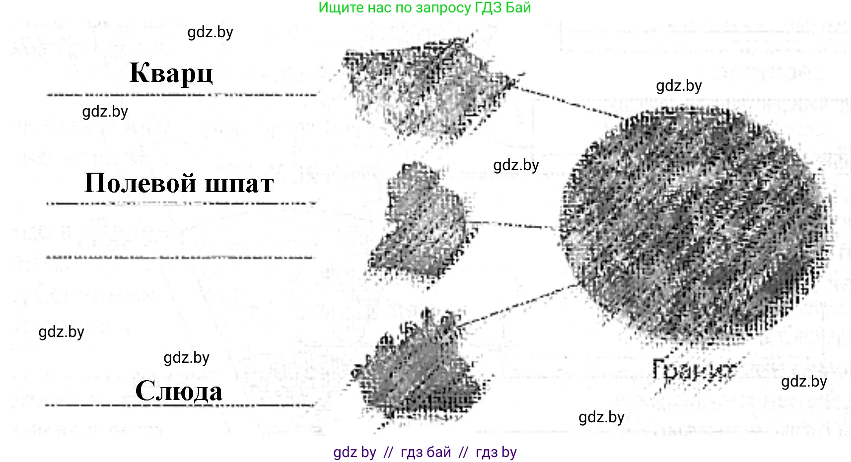 Человек и мир, 5 класс Практикум, авторы: Кольмакова Елена Генадьевна, Сарычева Ольга Владимировна, издательство Аверсэв, Минск, 2022, голубого цвета, страница 56, номер 3, Решение