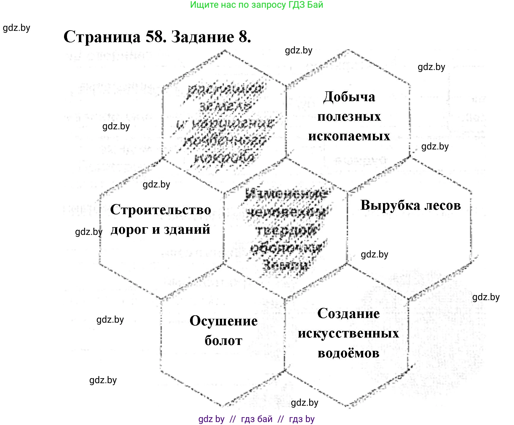 Человек и мир, 5 класс Практикум, авторы: Кольмакова Елена Генадьевна, Сарычева Ольга Владимировна, издательство Аверсэв, Минск, 2022, голубого цвета, страница 58, номер 8, Решение