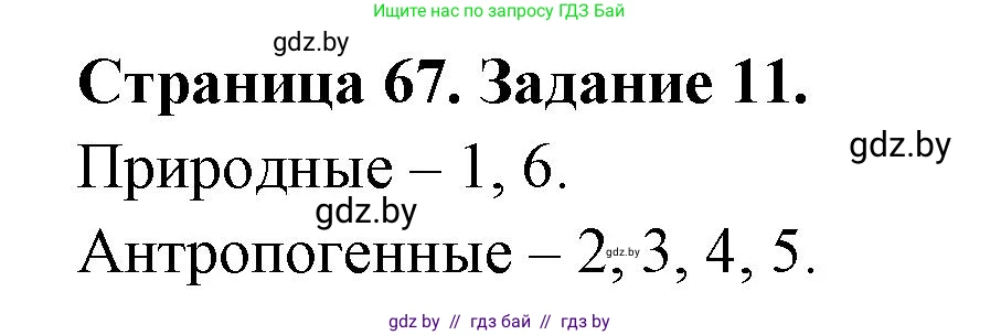 Человек и мир, 5 класс Практикум, авторы: Кольмакова Елена Генадьевна, Сарычева Ольга Владимировна, издательство Аверсэв, Минск, 2022, голубого цвета, страница 67, номер 11, Решение