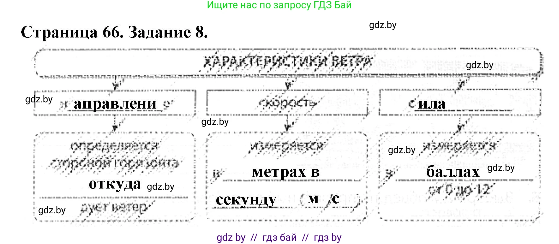 Человек и мир, 5 класс Практикум, авторы: Кольмакова Елена Генадьевна, Сарычева Ольга Владимировна, издательство Аверсэв, Минск, 2022, голубого цвета, страница 66, номер 8, Решение