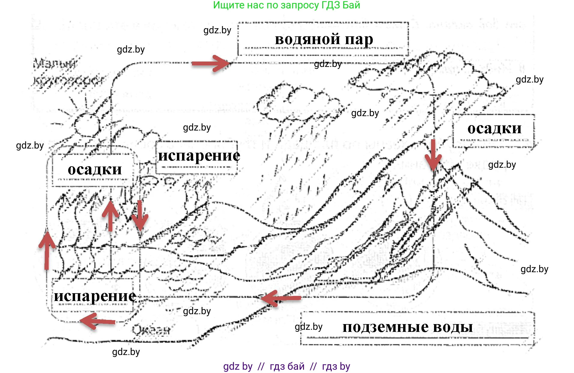 Человек и мир, 5 класс Практикум, авторы: Кольмакова Елена Генадьевна, Сарычева Ольга Владимировна, издательство Аверсэв, Минск, 2022, голубого цвета, страница 74, номер 6, Решение