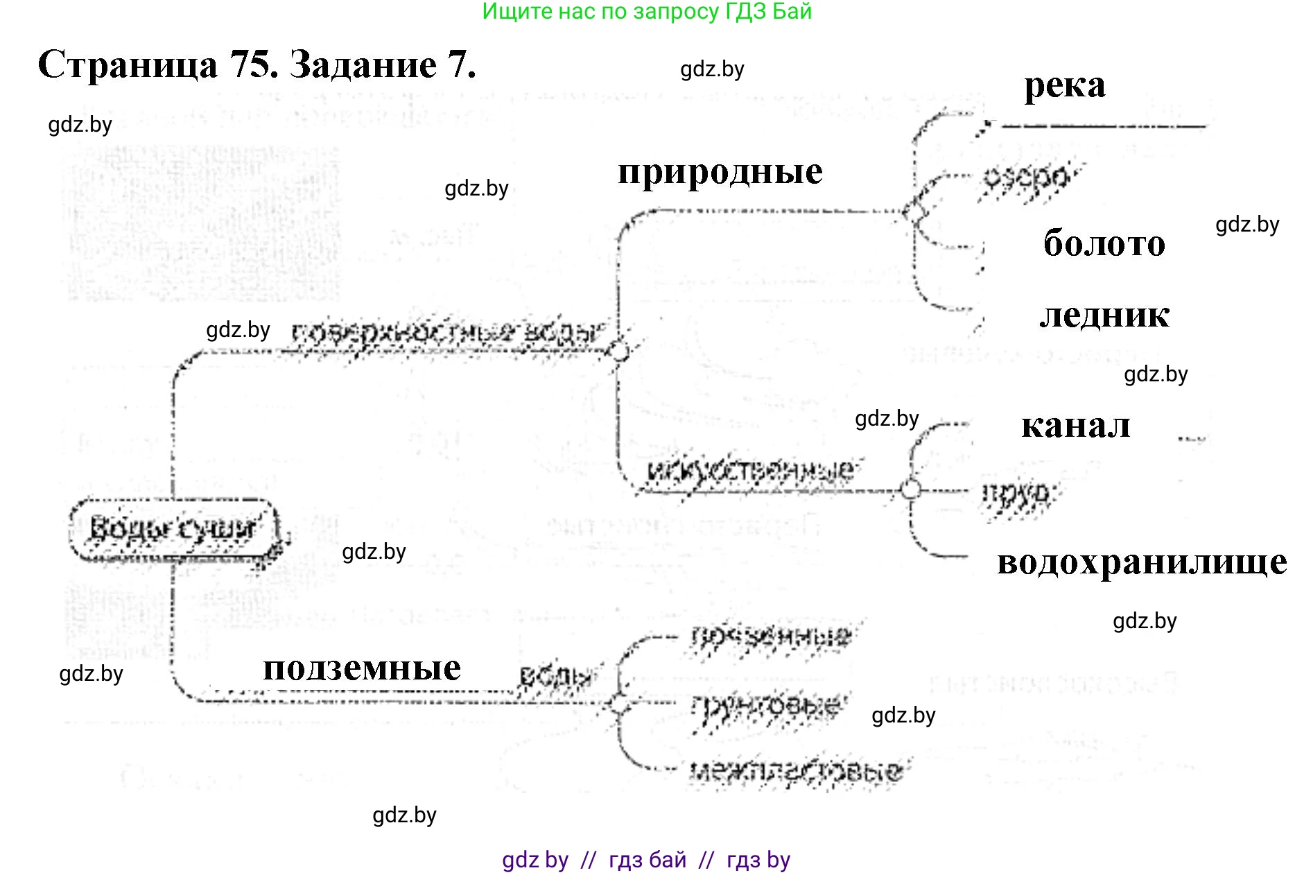 Человек и мир, 5 класс Практикум, авторы: Кольмакова Елена Генадьевна, Сарычева Ольга Владимировна, издательство Аверсэв, Минск, 2022, голубого цвета, страница 75, номер 7, Решение