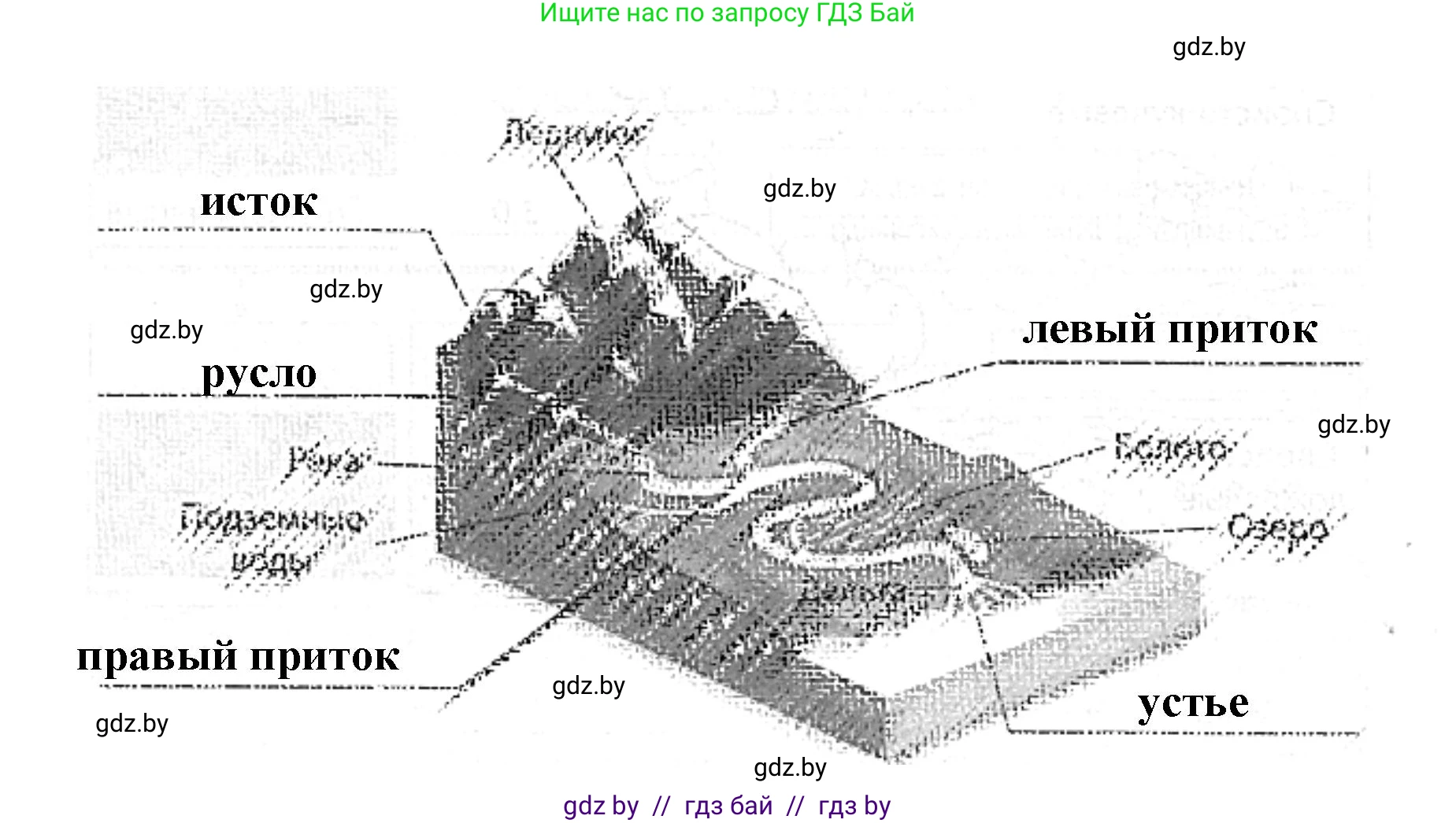 Человек и мир, 5 класс Практикум, авторы: Кольмакова Елена Генадьевна, Сарычева Ольга Владимировна, издательство Аверсэв, Минск, 2022, голубого цвета, страница 75, номер 8, Решение