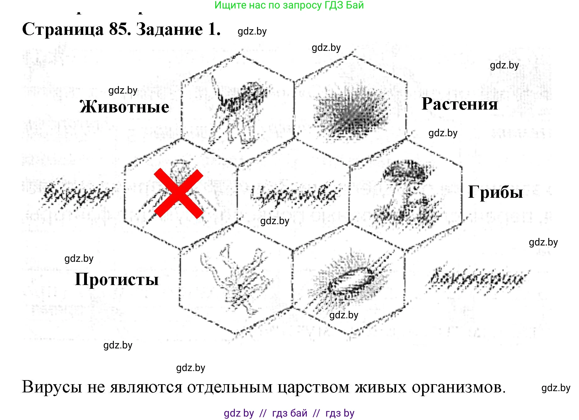 Человек и мир, 5 класс Практикум, авторы: Кольмакова Елена Генадьевна, Сарычева Ольга Владимировна, издательство Аверсэв, Минск, 2022, голубого цвета, страница 85, номер 1, Решение