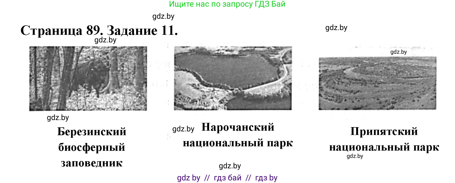 Человек и мир, 5 класс Практикум, авторы: Кольмакова Елена Генадьевна, Сарычева Ольга Владимировна, издательство Аверсэв, Минск, 2022, голубого цвета, страница 89, номер 11, Решение