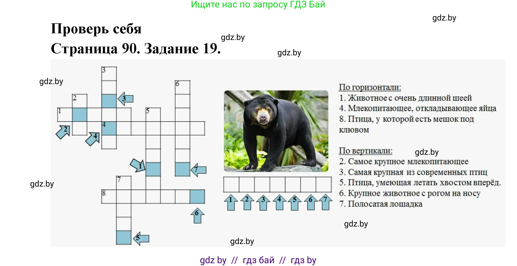 Человек и мир, 5 класс Практикум, авторы: Кольмакова Елена Генадьевна, Сарычева Ольга Владимировна, издательство Аверсэв, Минск, 2022, голубого цвета, страница 90, номер 19, Решение