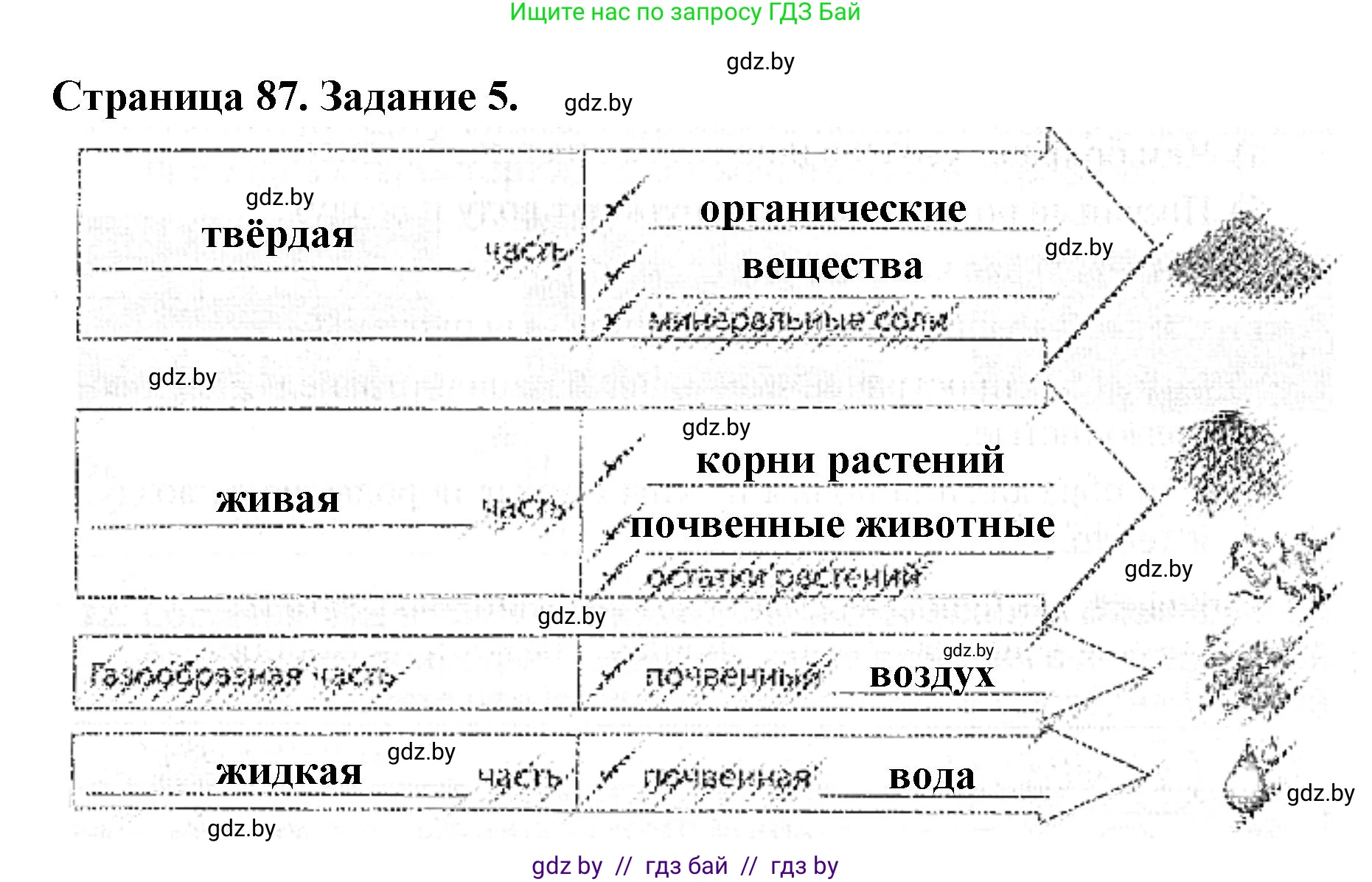 Человек и мир, 5 класс Практикум, авторы: Кольмакова Елена Генадьевна, Сарычева Ольга Владимировна, издательство Аверсэв, Минск, 2022, голубого цвета, страница 87, номер 5, Решение