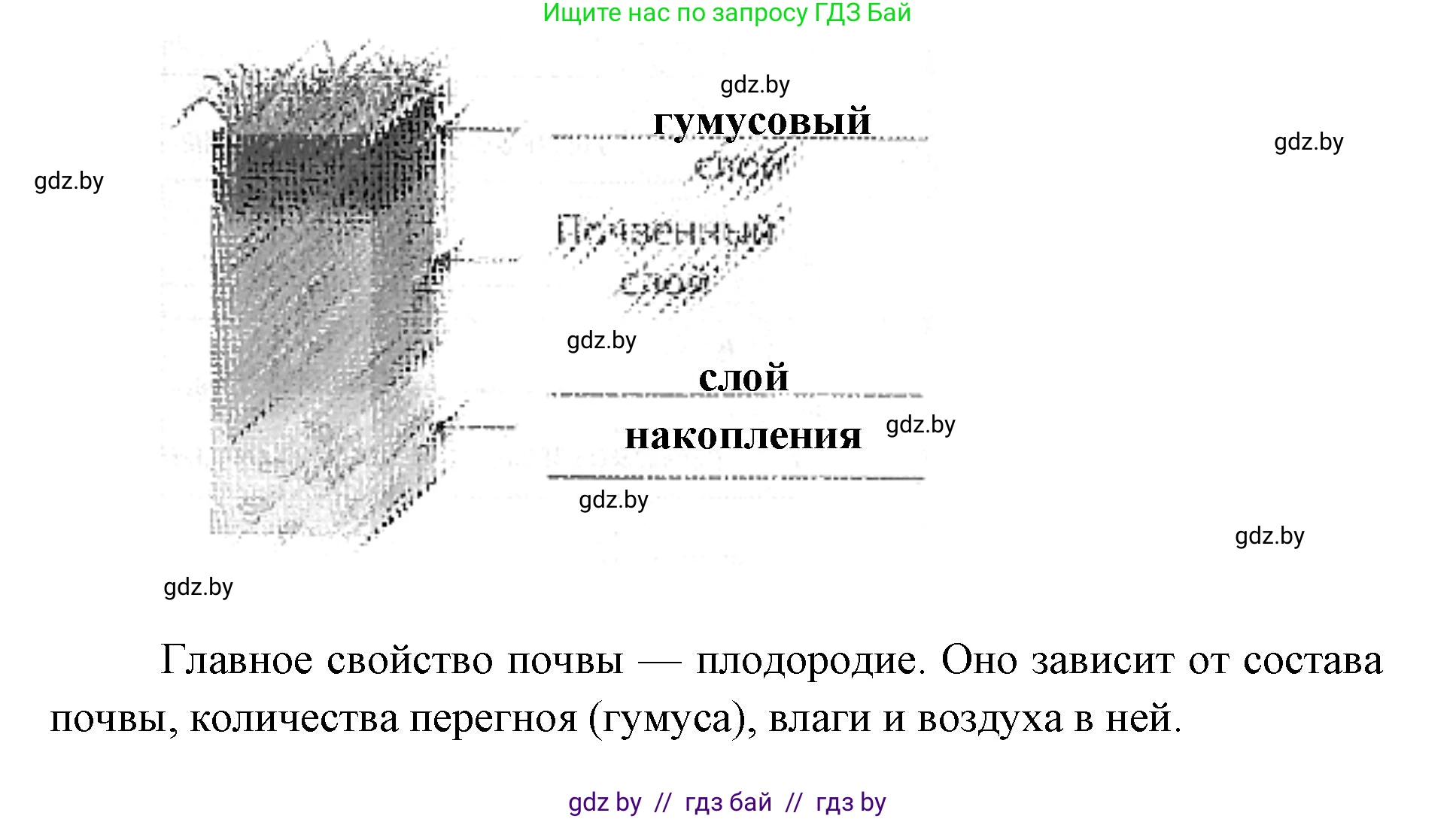 Человек и мир, 5 класс Практикум, авторы: Кольмакова Елена Генадьевна, Сарычева Ольга Владимировна, издательство Аверсэв, Минск, 2022, голубого цвета, страница 87, номер 6, Решение
