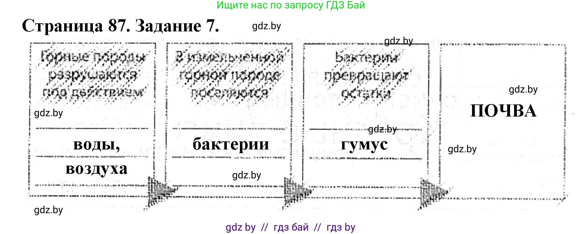 Человек и мир, 5 класс Практикум, авторы: Кольмакова Елена Генадьевна, Сарычева Ольга Владимировна, издательство Аверсэв, Минск, 2022, голубого цвета, страница 87, номер 7, Решение