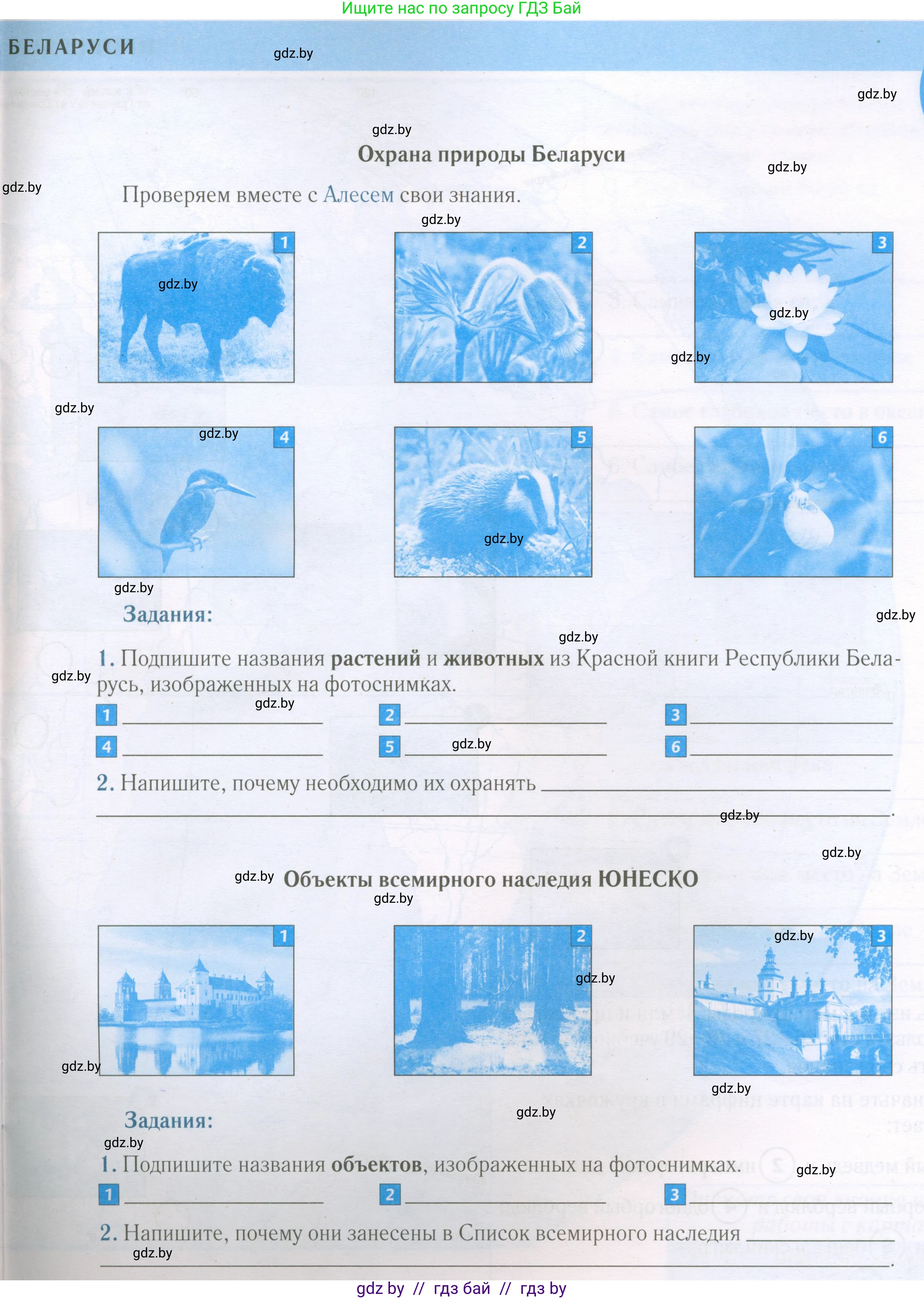 Человек и мир, 5 класс Контурные карты, авторы: Лопух Пётр Степанович, Сарычева Ольга Владимировна, Шкель Людмила Валерьевна, издательство Белкартография, Минск, 2022, голубого цвета, страница 21, Условие