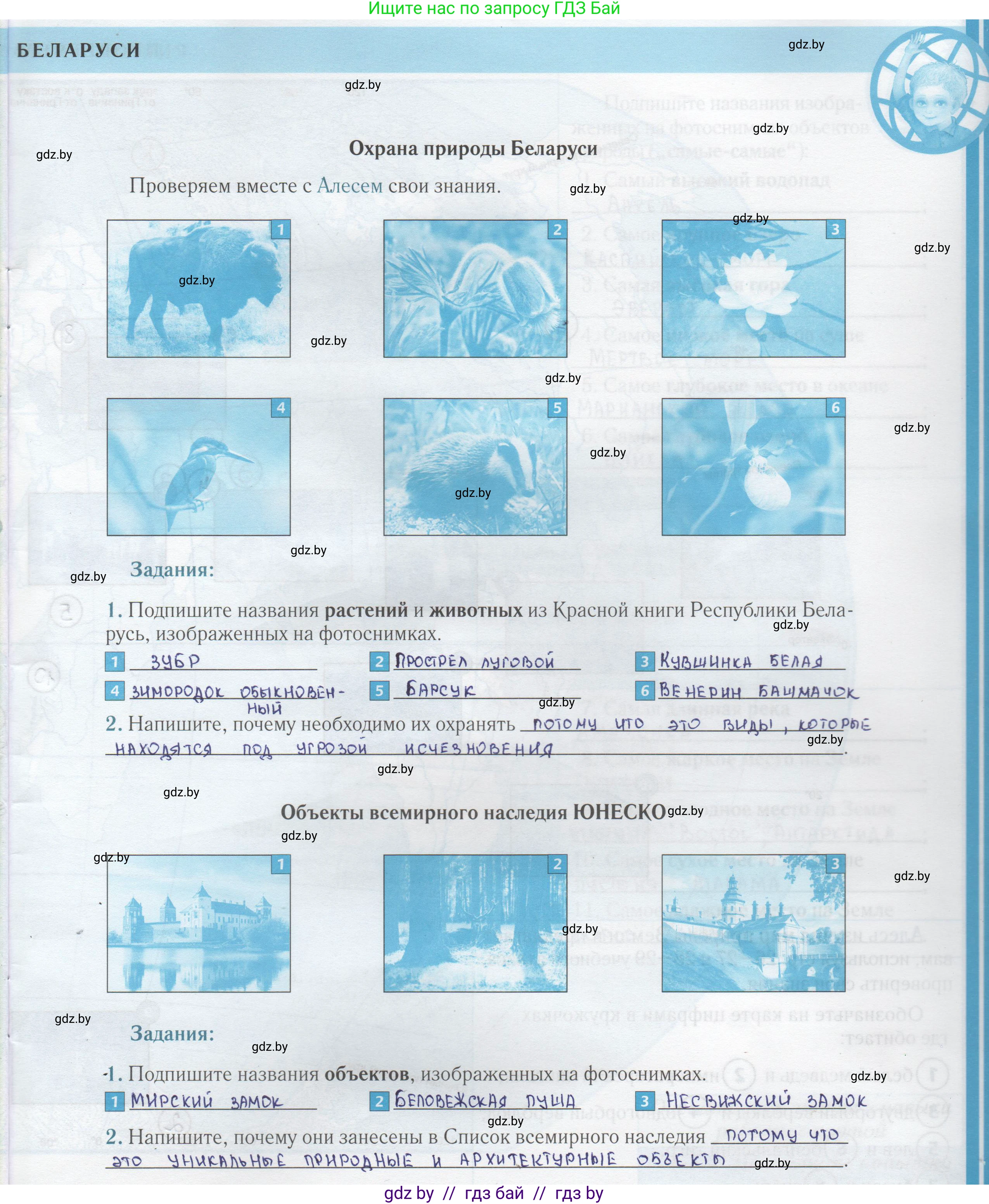 Человек и мир, 5 класс Контурные карты, авторы: Лопух Пётр Степанович, Сарычева Ольга Владимировна, Шкель Людмила Валерьевна, издательство Белкартография, Минск, 2022, голубого цвета, страница 21, Решение