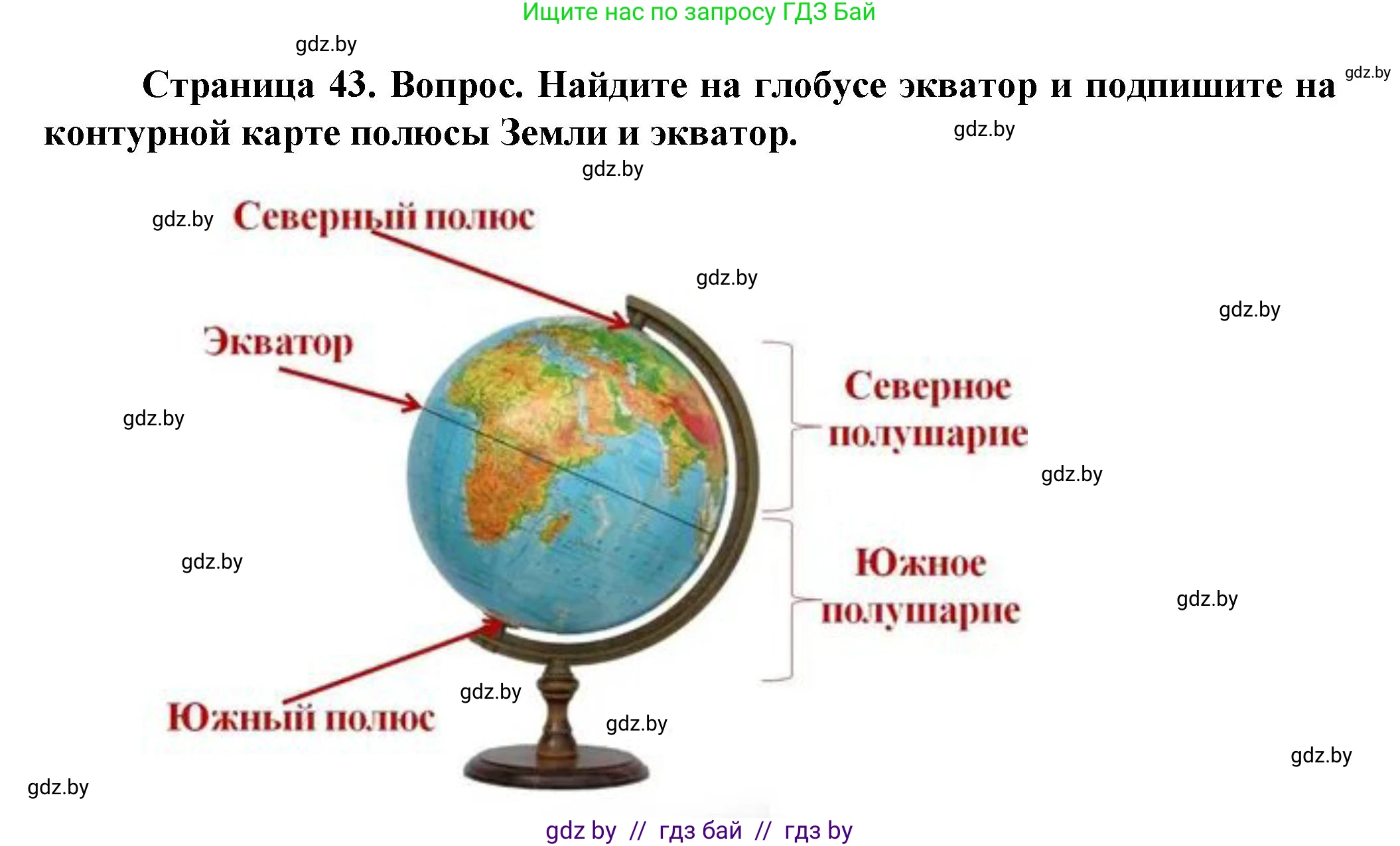Человек и мир, 5 класс Учебник, авторы: Лопух Пётр Степанович, Сарычева Ольга Владимировна, Шкель Людмила Валерьевна, издательство Народная асвета, Минск, 2022, белого цвета, страница 43, номер 1, Решение