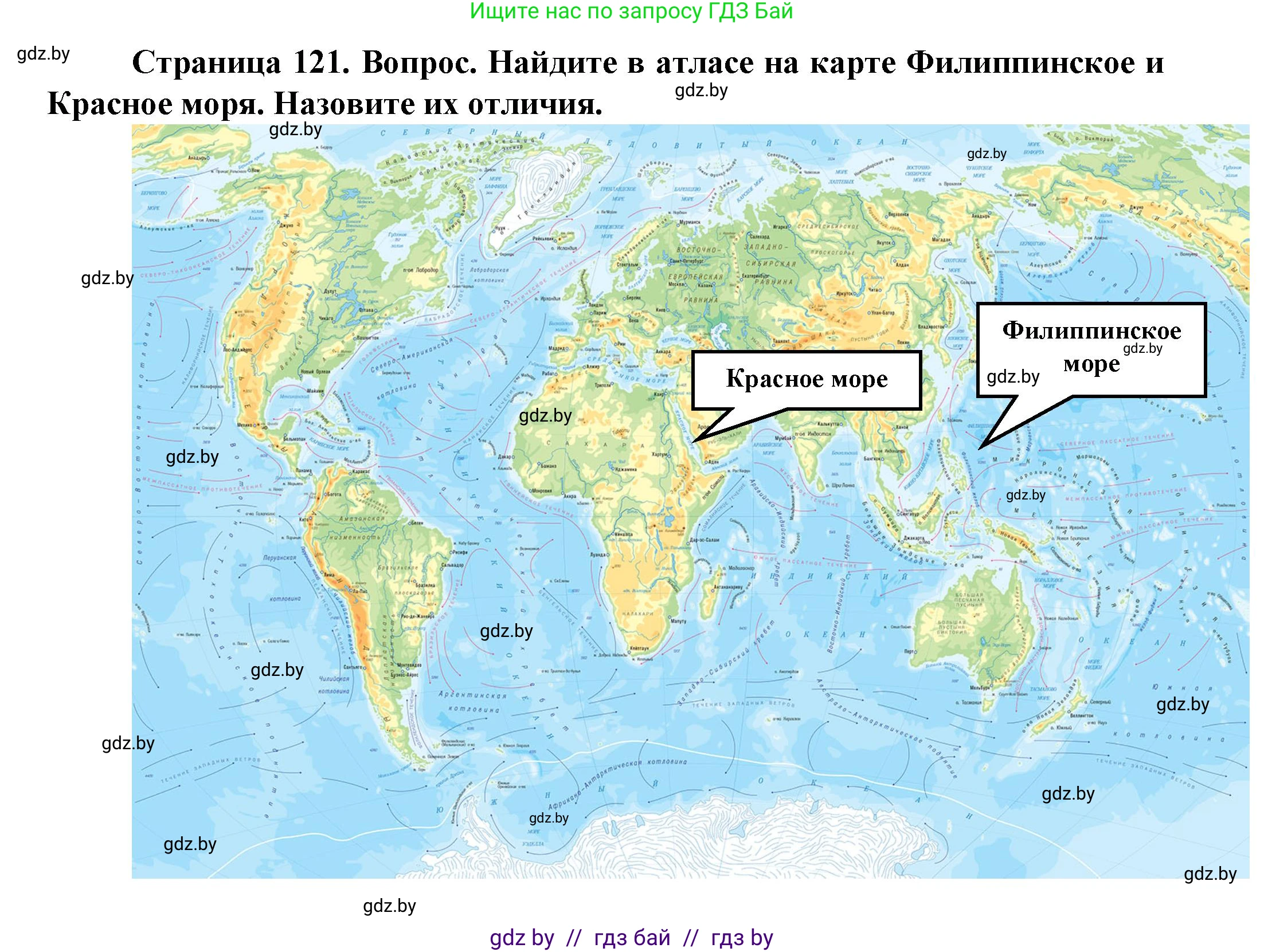 Человек и мир, 5 класс Учебник, авторы: Лопух Пётр Степанович, Сарычева Ольга Владимировна, Шкель Людмила Валерьевна, издательство Народная асвета, Минск, 2022, белого цвета, страница 121, номер 3, Решение