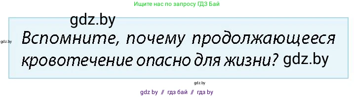 допризывная подготовка, 10-11 класс Учебник, авторы: Драгунов Вадим Валерьевич, Богдан Василий Генрихович, Городниченко Александр Николаевич, Дроговоз И Г, Кирпичев С Н, Мирончук С П, Павлющик А А, Ржеутский Л Я, Савчанчик С А, Стринкевич А Л, Хатешев Н С, Шелудков И Г, Шуканов С В, издательство Белорусская Энциклопедия имени Петруся Бровки, Минск, 2019, страница 213, номер 2, Условие