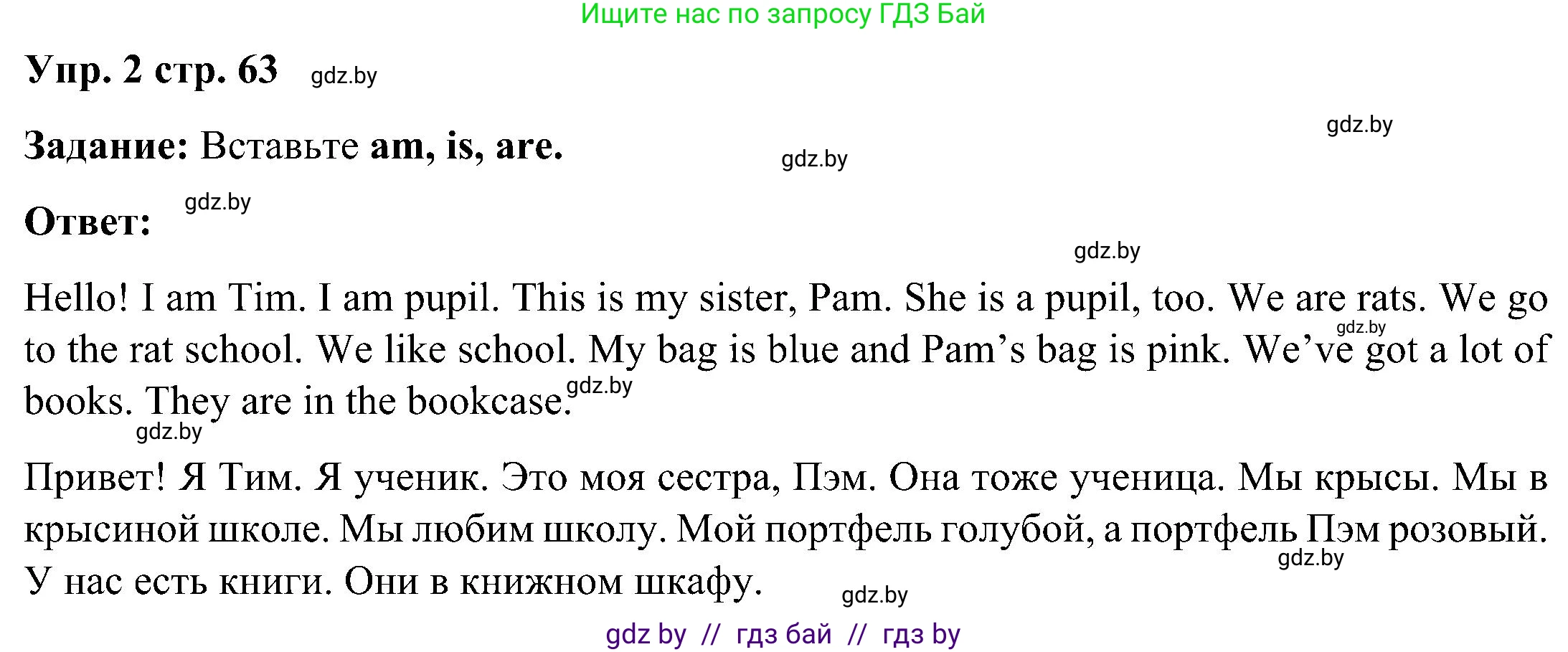 Английский язык (english), 3 класс практикум (activity book ), авторы: Лапицкая Людмила Михайловна (Lapitskaya Ludmila), Калишевич Алла Ивановна, Севрюкова Татьяна Юрьевна, Седунова Наталья Михайловна (Sedunova Natalia), издательство Аверсэв, Минск, 2023, зелёного цвета, Часть 2, страница 63, номер 2, Решение