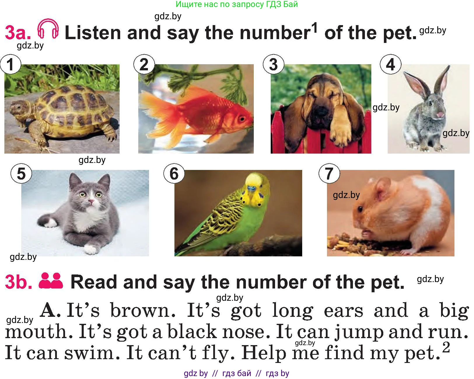 Английский язык (english), 3 класс Учебник, авторы: Лапицкая Людмила Михайловна (Lapitskaya Ludmila), Калишевич Алла Ивановна, Севрюкова Татьяна Юрьевна, Седунова Наталья Михайловна (Sedunova Natalia), издательство Вышэйшая школа, Минск, 2023, Часть 1, страница 122, номер 3, Условие