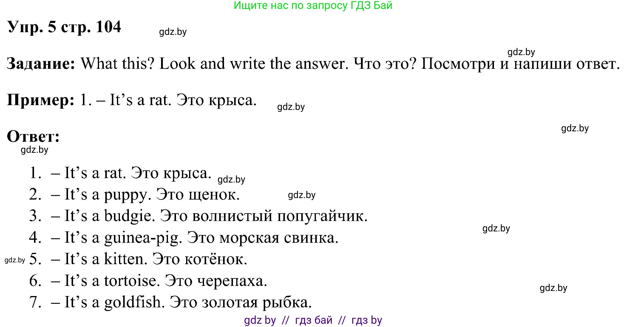 Английский язык (english), 3 класс Учебник, авторы: Лапицкая Людмила Михайловна (Lapitskaya Ludmila), Калишевич Алла Ивановна, Севрюкова Татьяна Юрьевна, Седунова Наталья Михайловна (Sedunova Natalia), издательство Вышэйшая школа, Минск, 2023, Часть 1, страница 104, номер 5, Решение