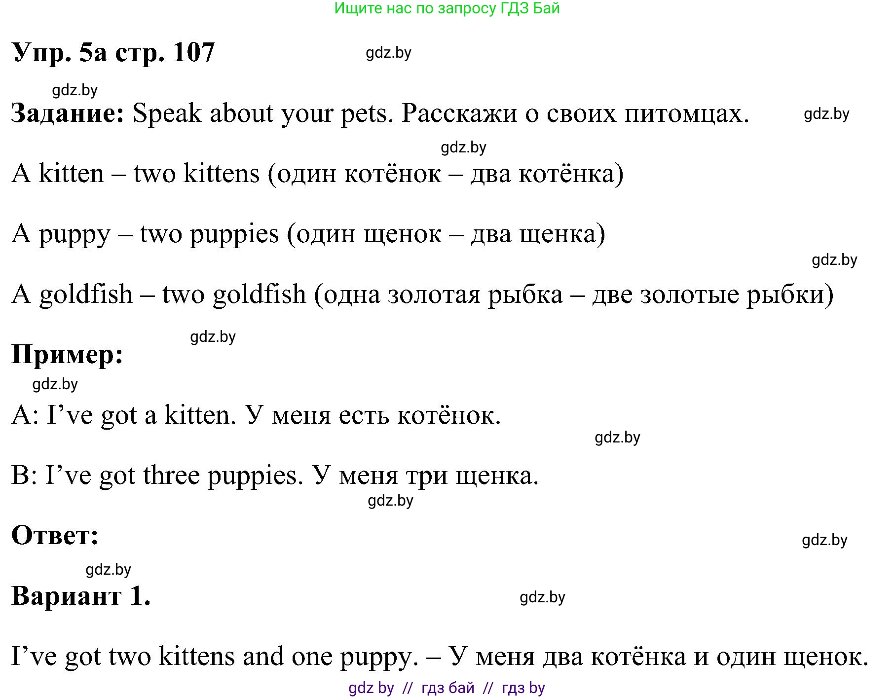 Английский язык (english), 3 класс Учебник, авторы: Лапицкая Людмила Михайловна (Lapitskaya Ludmila), Калишевич Алла Ивановна, Севрюкова Татьяна Юрьевна, Седунова Наталья Михайловна (Sedunova Natalia), издательство Вышэйшая школа, Минск, 2023, Часть 1, страница 107, номер 5, Решение